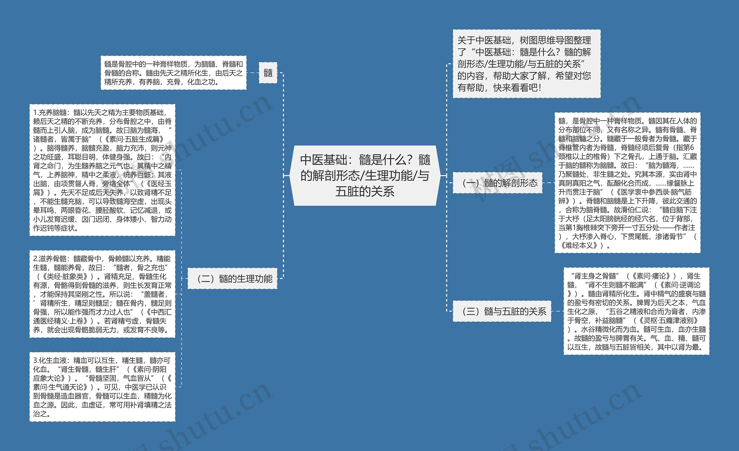 中医基础：髓是什么？髓的解剖形态/生理功能/与五脏的关系