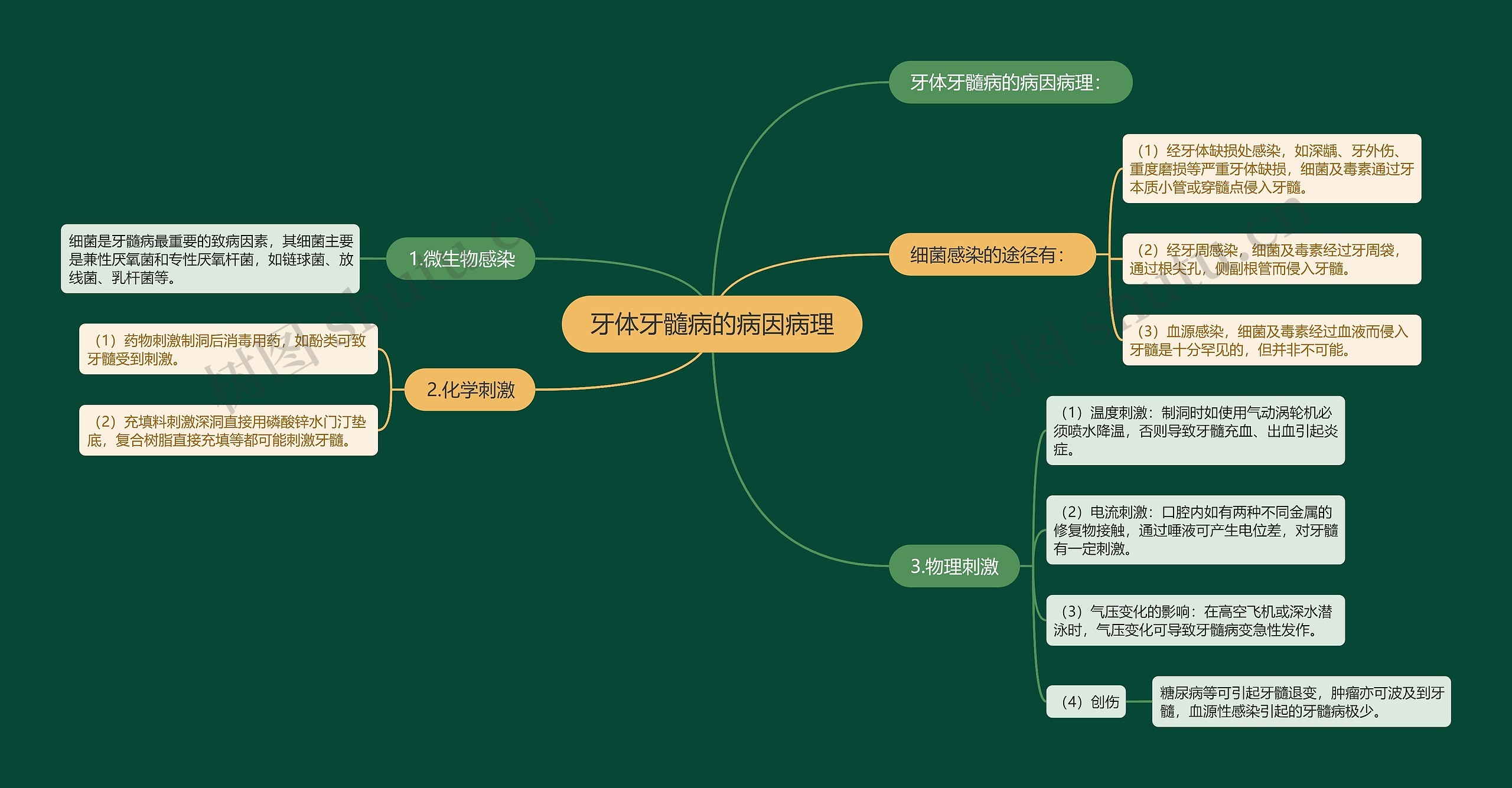 牙体牙髓病的病因病理 牙体牙髓病的病因病理