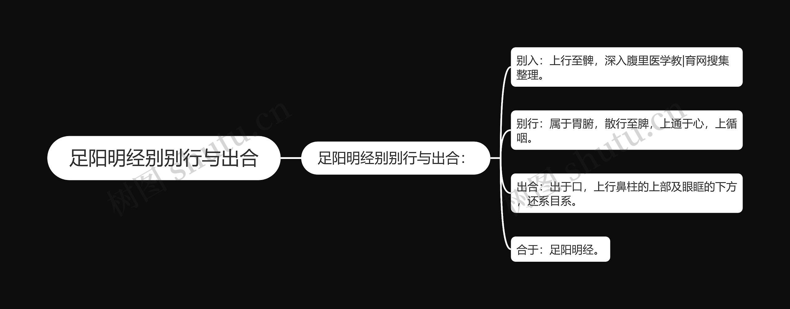 足阳明经别别行与出合思维导图