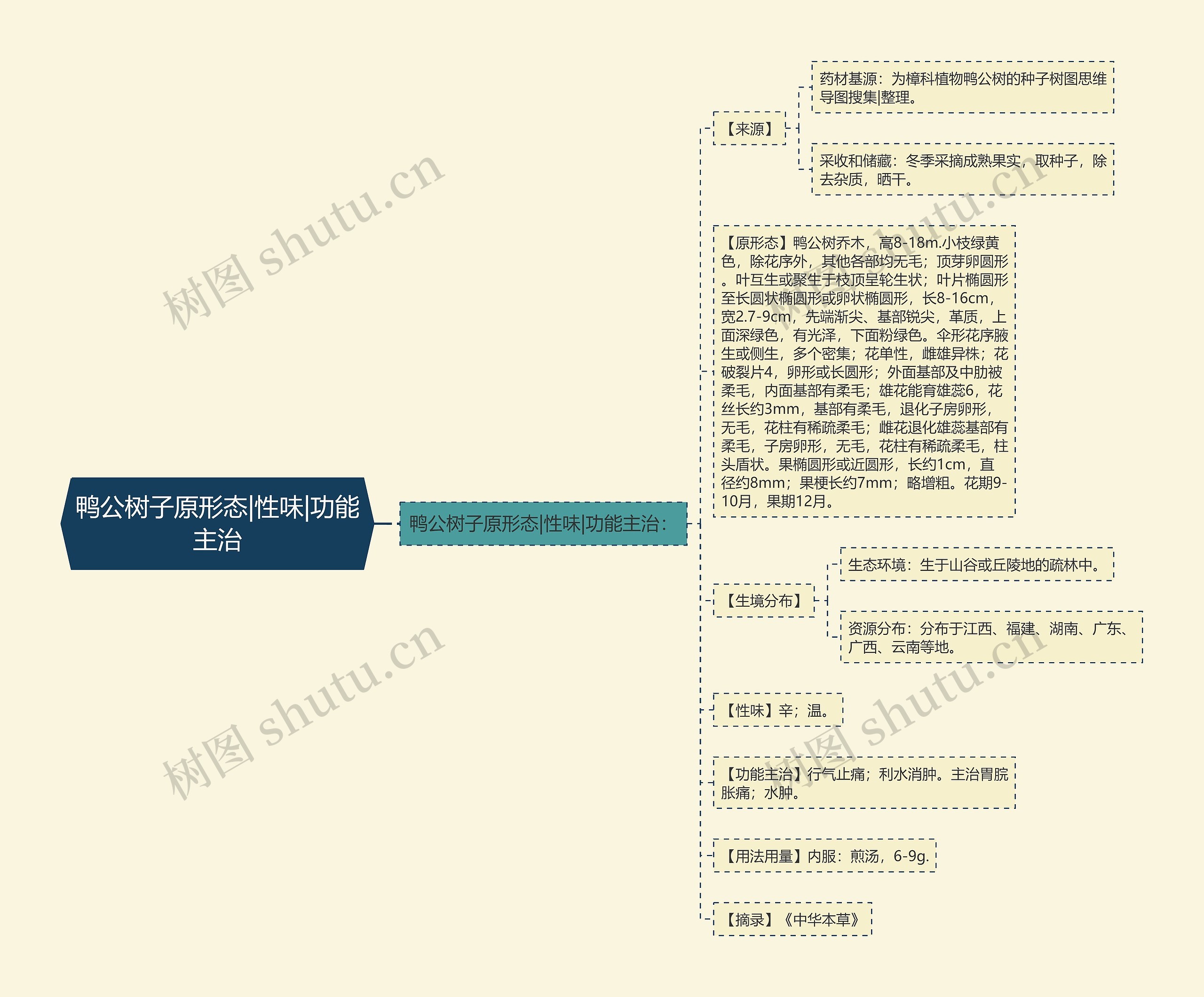 鸭公树子原形态|性味|功能主治思维导图