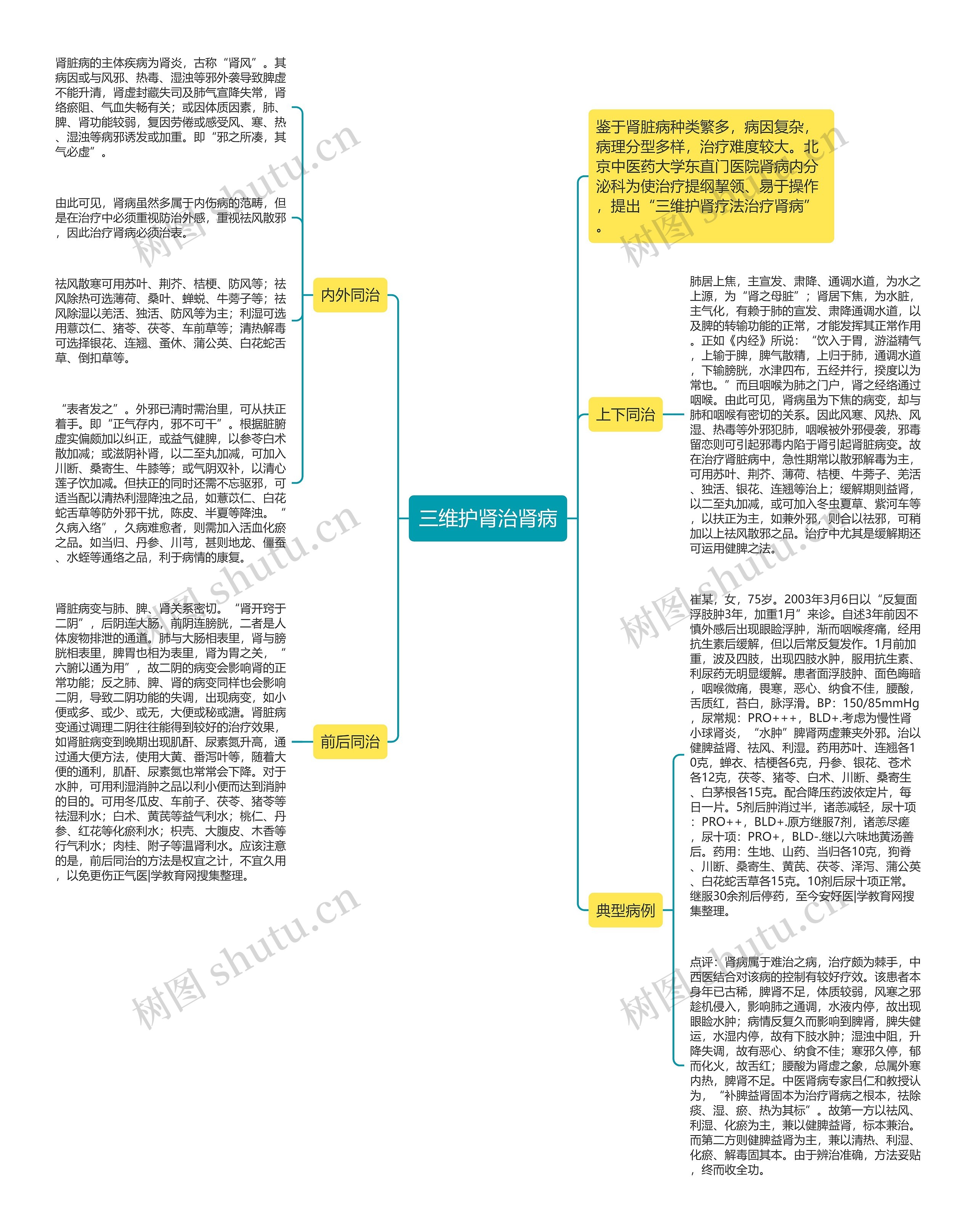 三维护肾治肾病思维导图