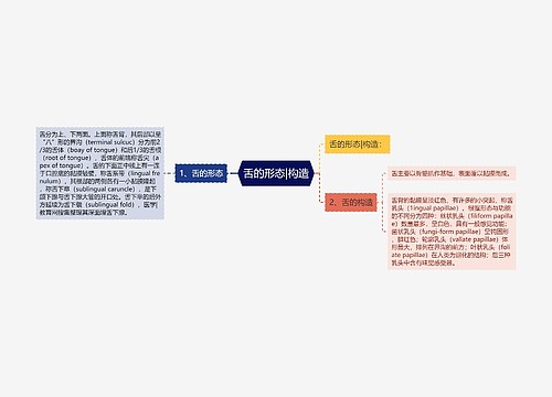 舌的形态|构造