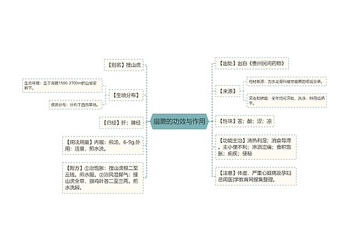 扇蕨的功效与作用