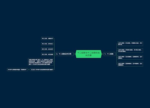 十二经脉与十二经脉的走向示意