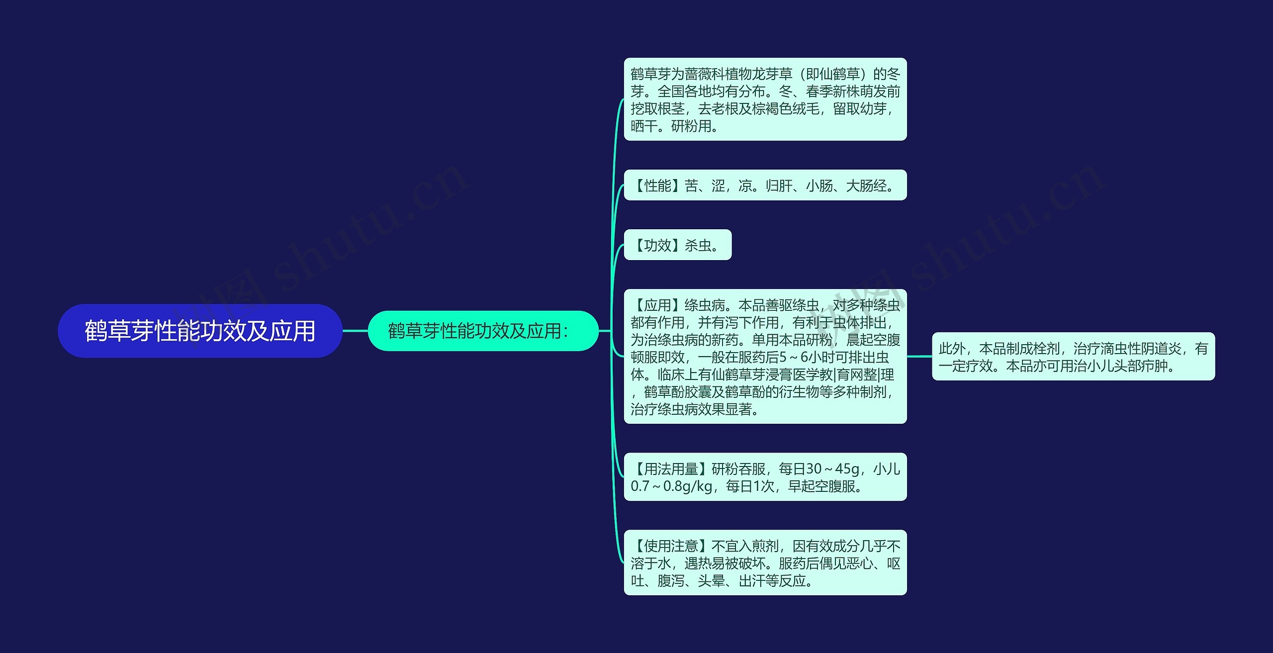 鹤草芽性能功效及应用思维导图