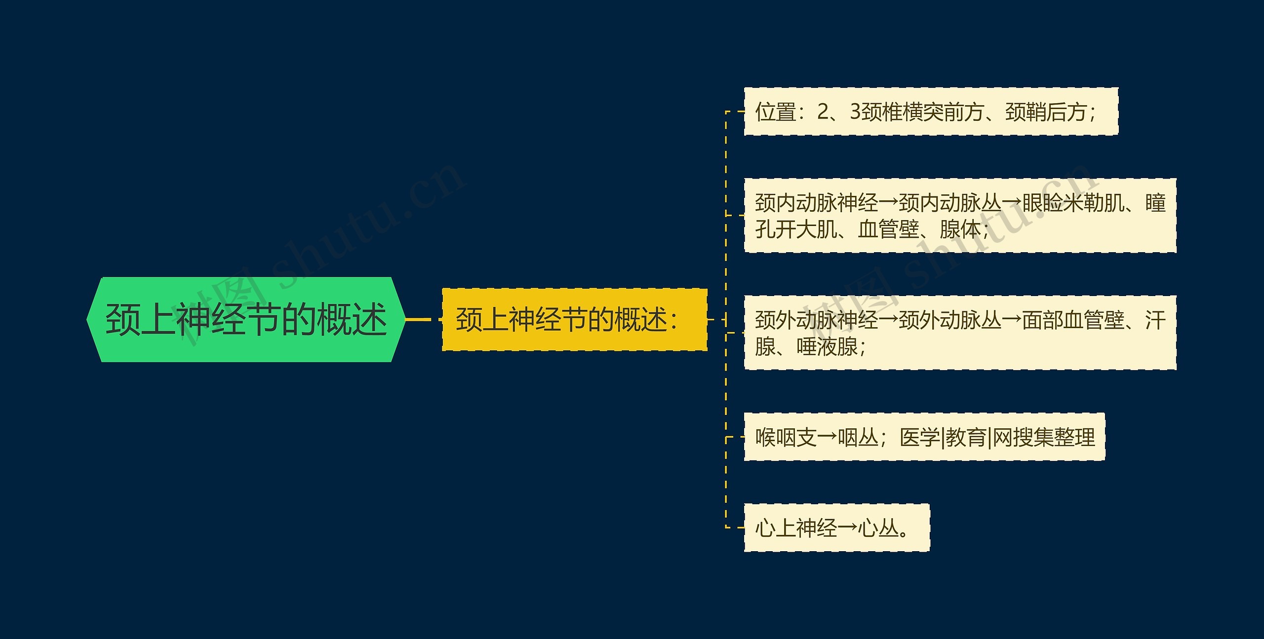 颈上神经节的概述