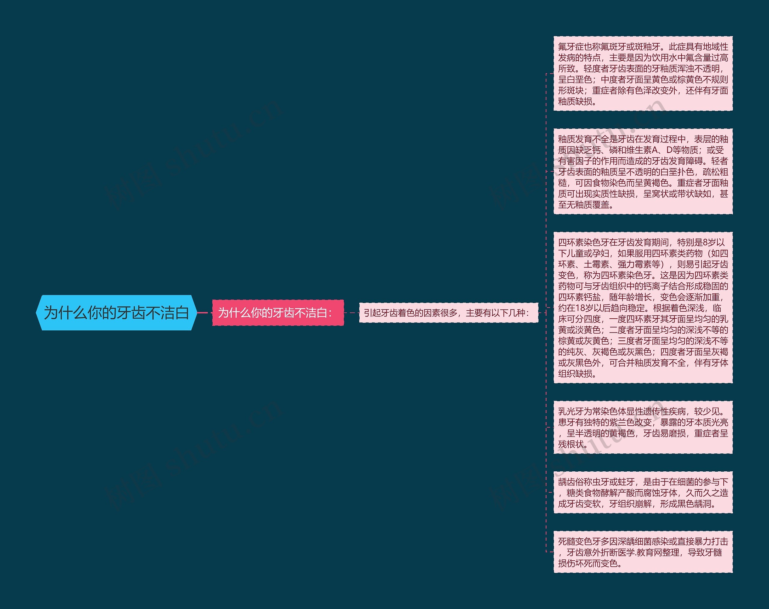 为什么你的牙齿不洁白思维导图