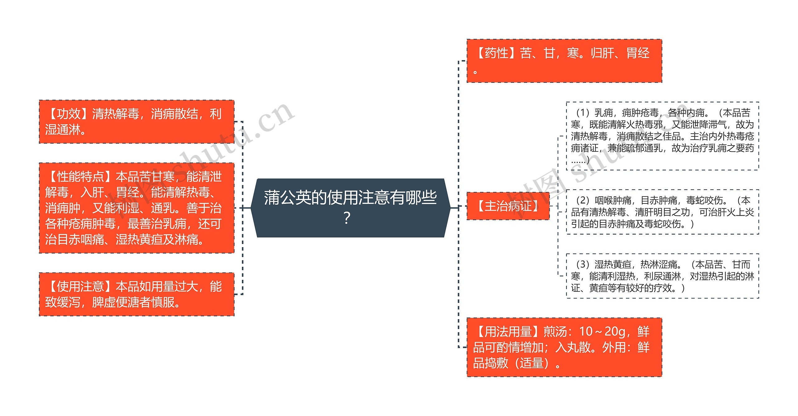 蒲公英的使用注意有哪些？思维导图