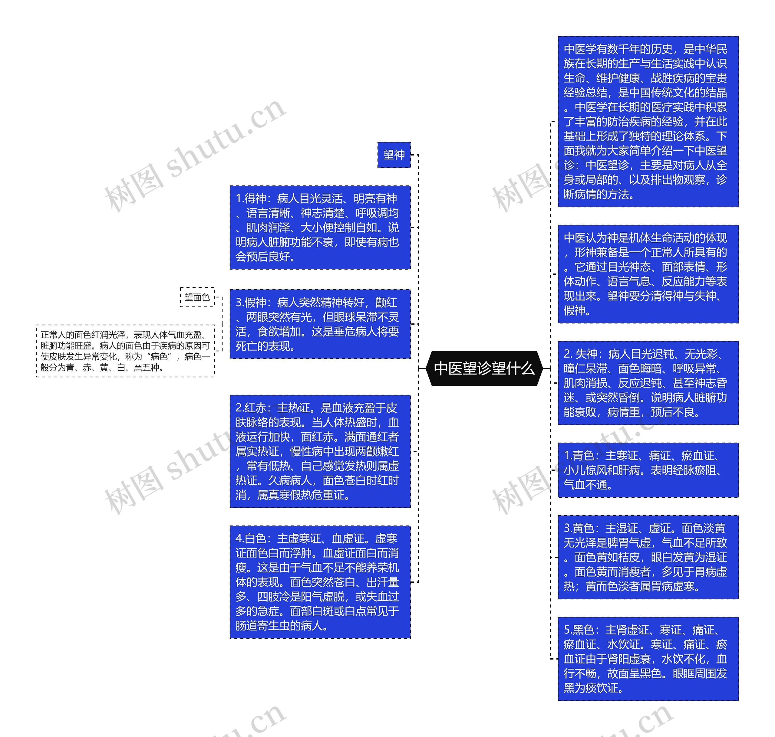 中医望诊望什么思维导图