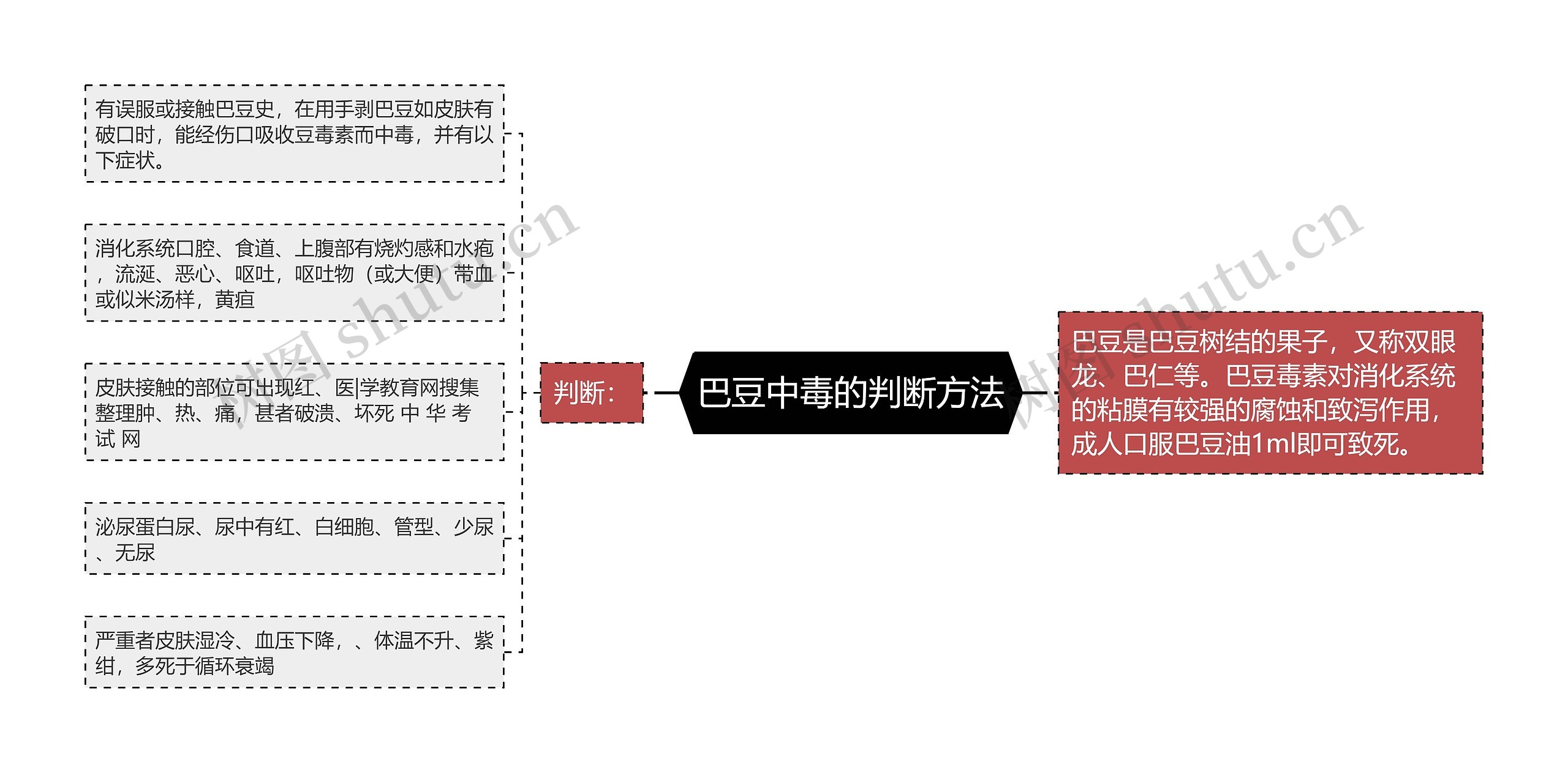 巴豆中毒的判断方法