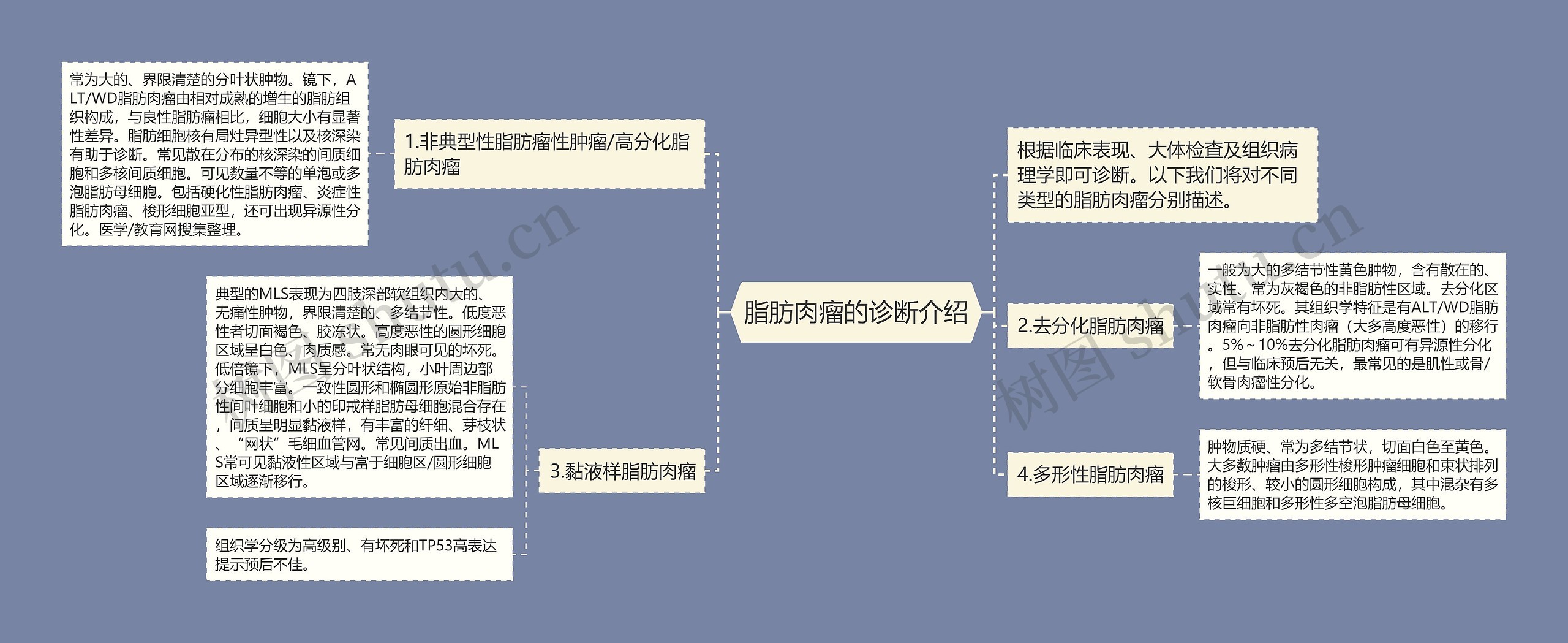 脂肪肉瘤的诊断介绍 脂肪肉瘤的诊断介绍