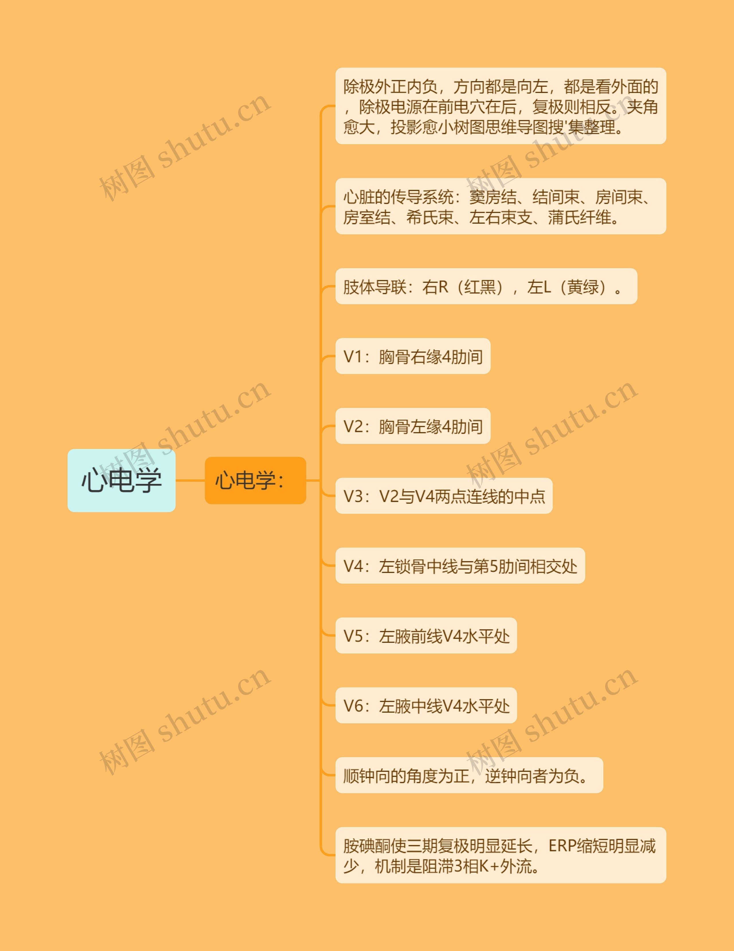 心电学 心电学