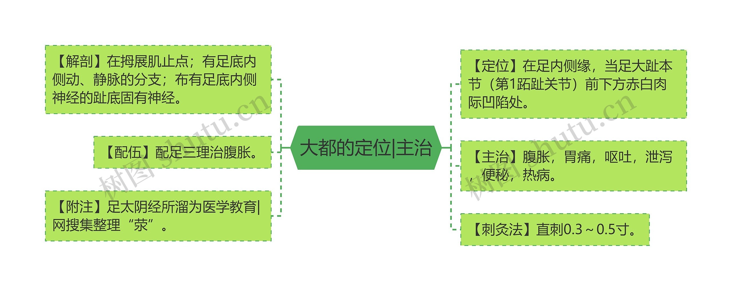 大都的定位|主治思维导图