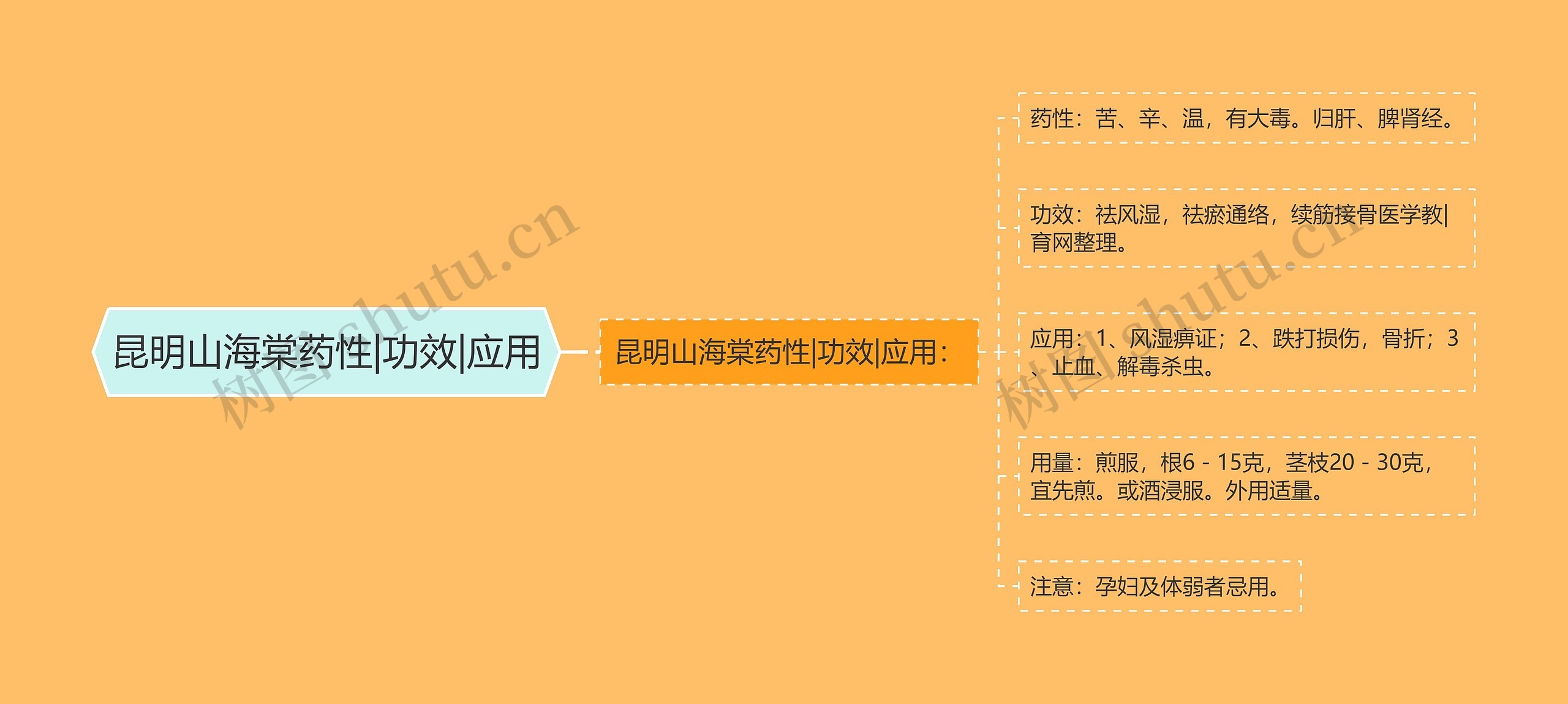 昆明山海棠药性|功效|应用 昆明山海棠药性|功效|应用