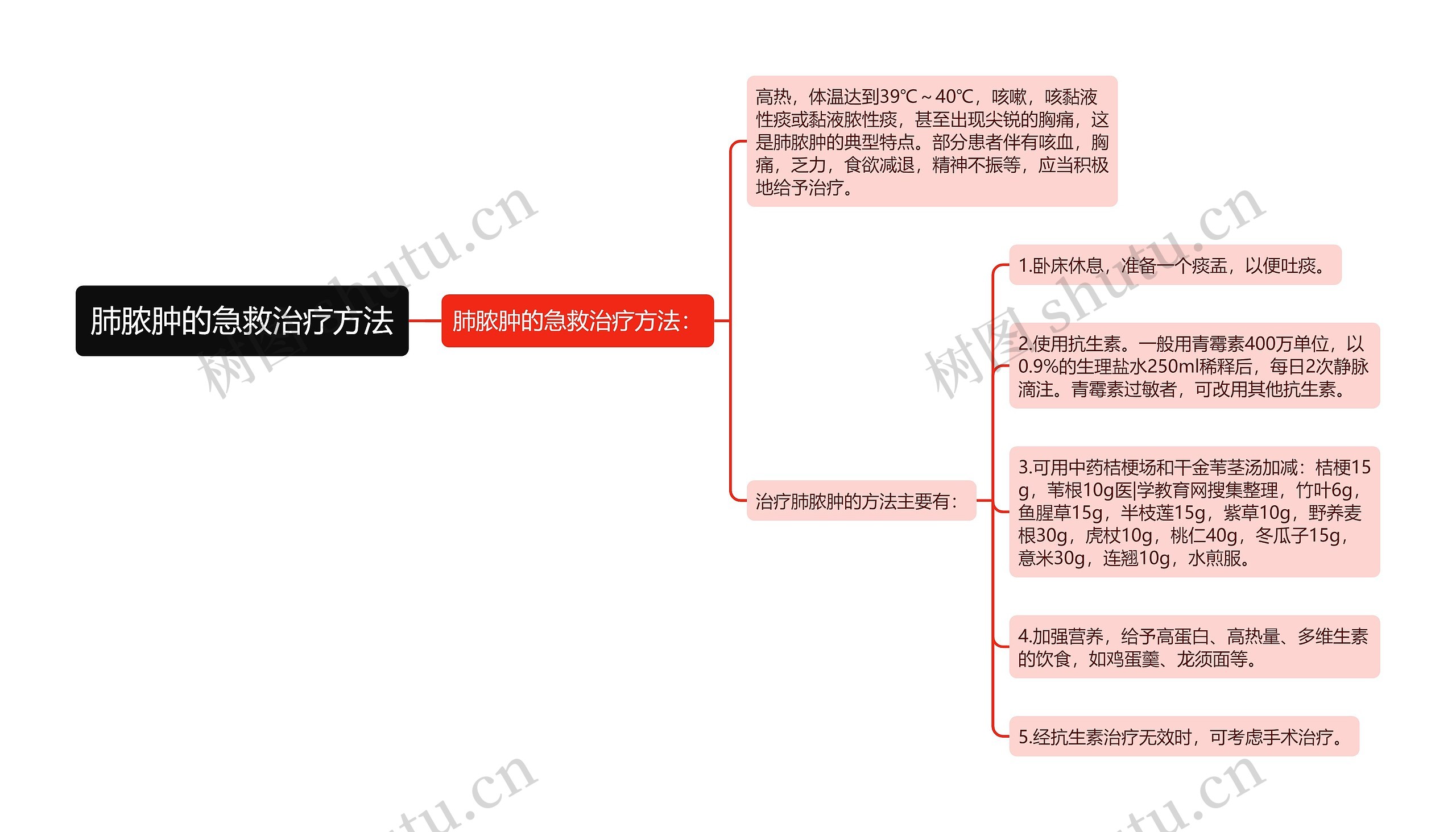 肺脓肿的急救治疗方法思维导图