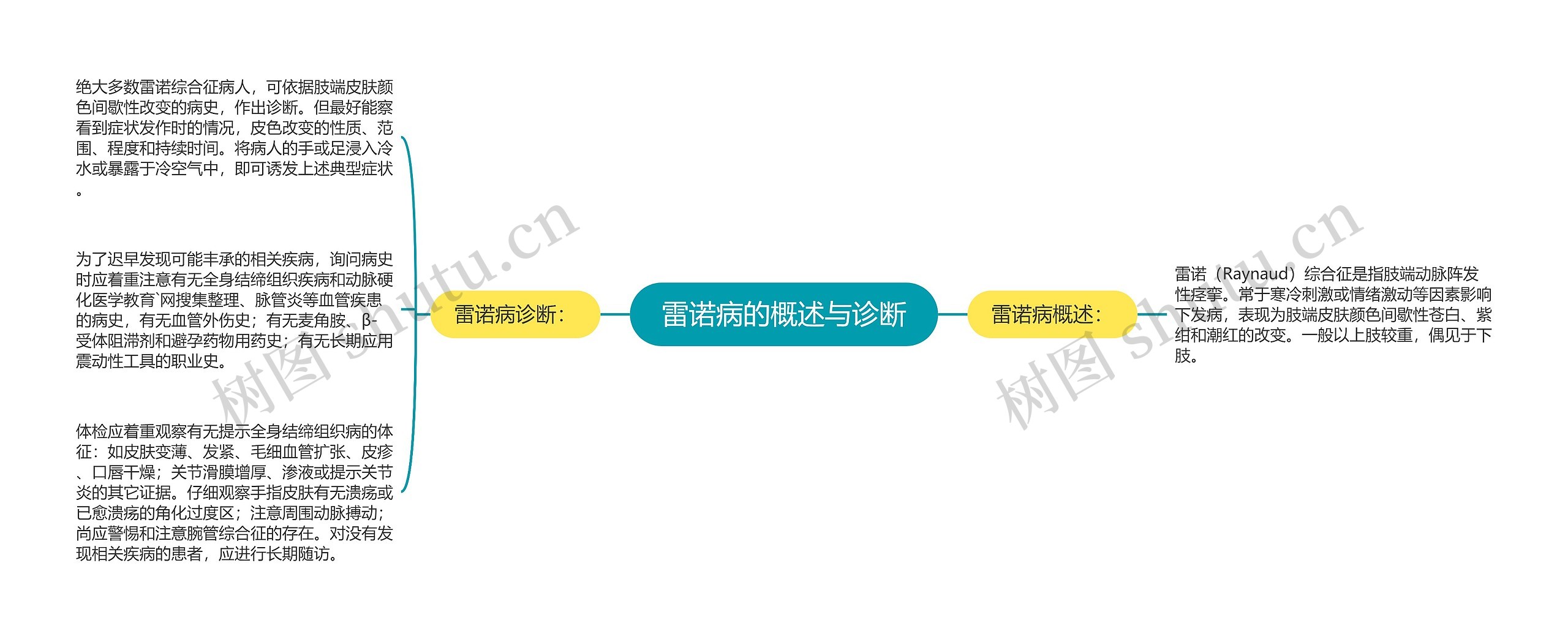 雷诺病的概述与诊断