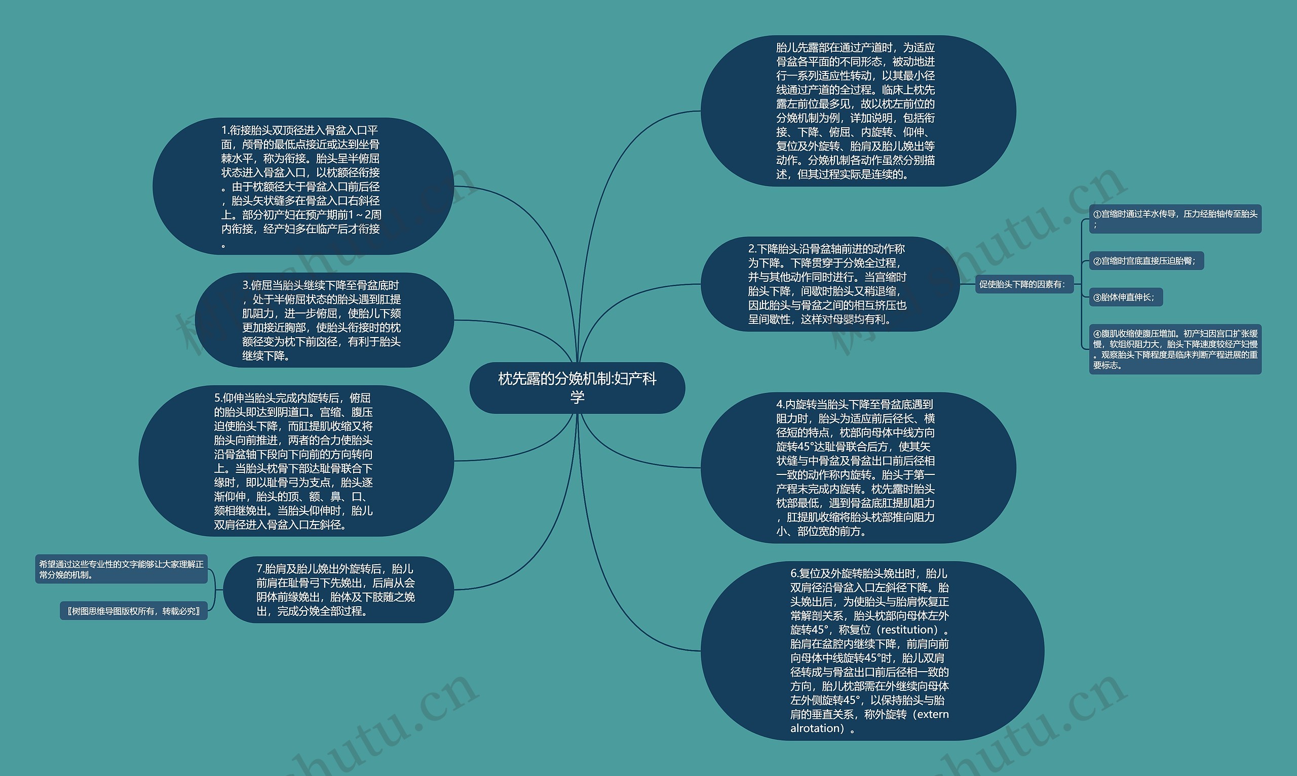 枕先露的分娩机制:妇产科学