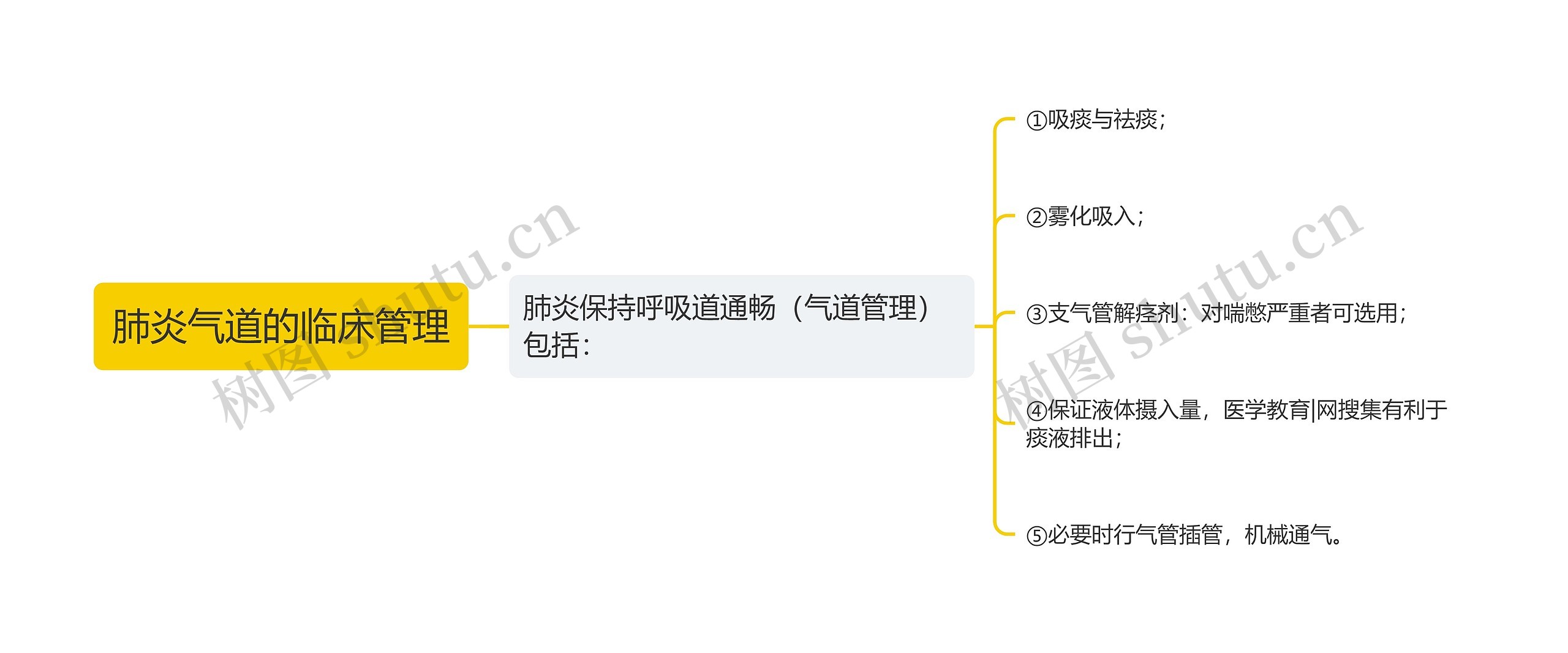 肺炎气道的临床管理思维导图