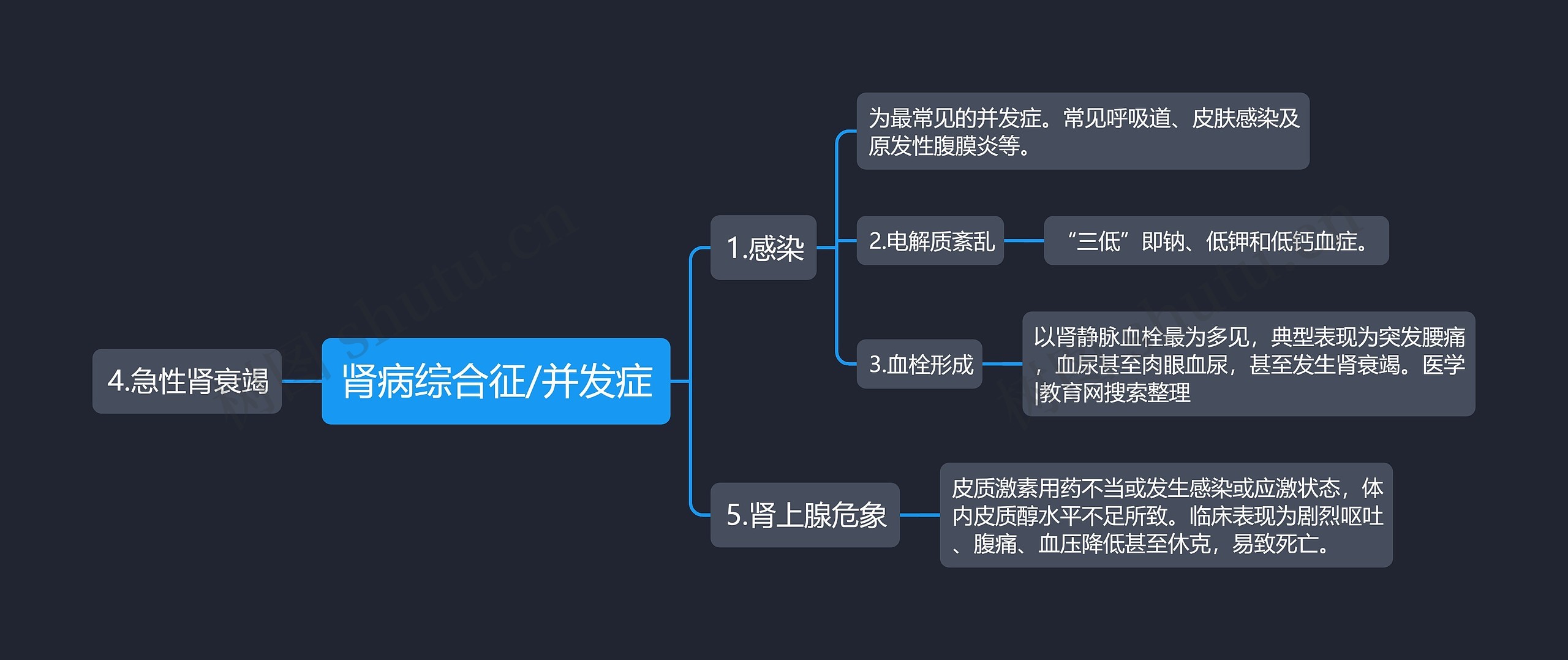 肾病综合征/并发症