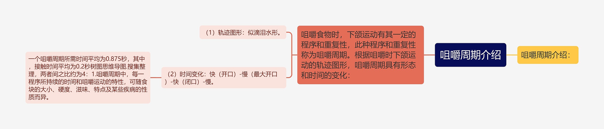 咀嚼周期介绍