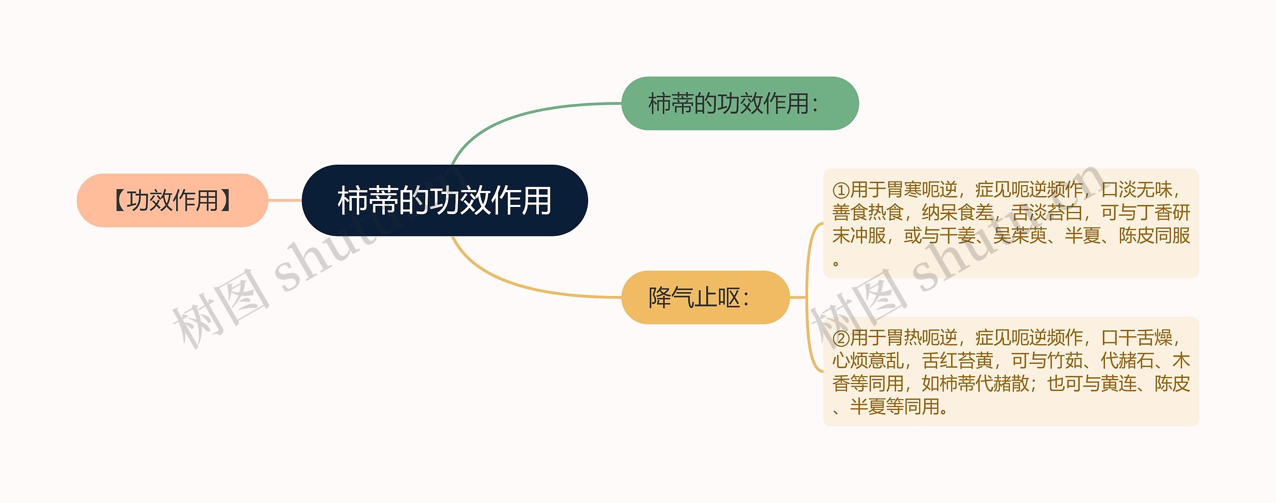 柿蒂的功效作用思维导图