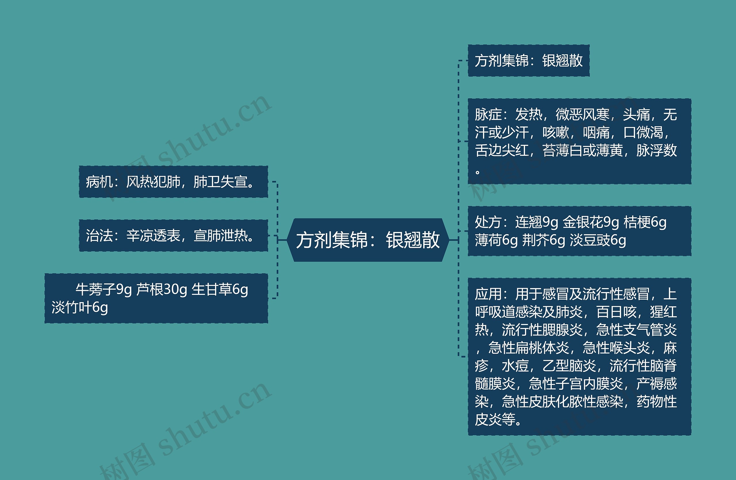 方剂集锦：银翘散