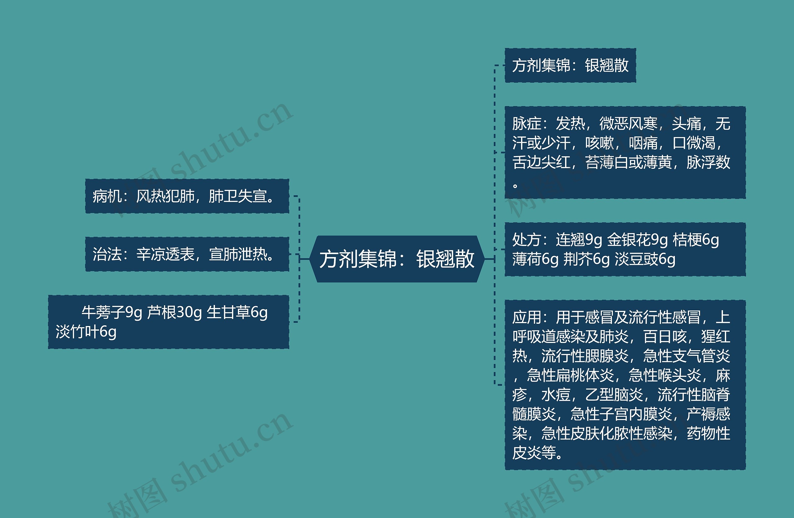 方剂集锦：银翘散思维导图