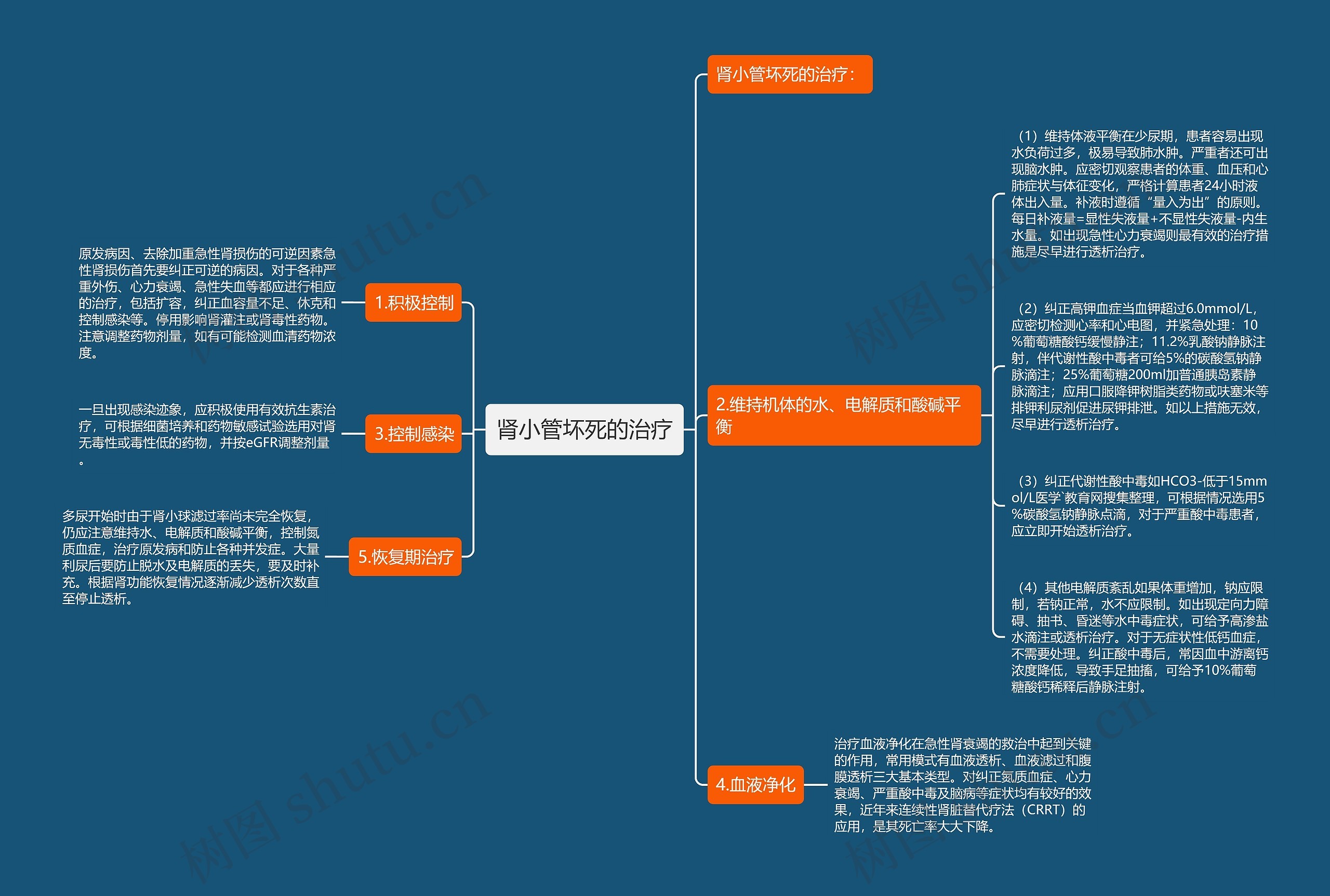 肾小管坏死的治疗思维导图