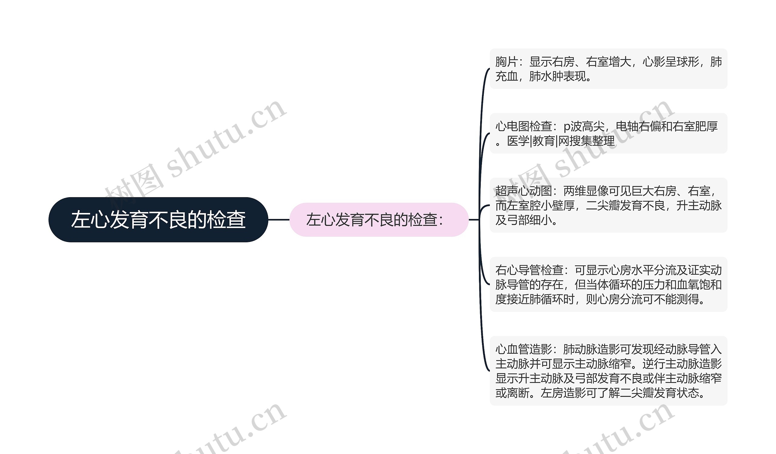 左心发育不良的检查思维导图