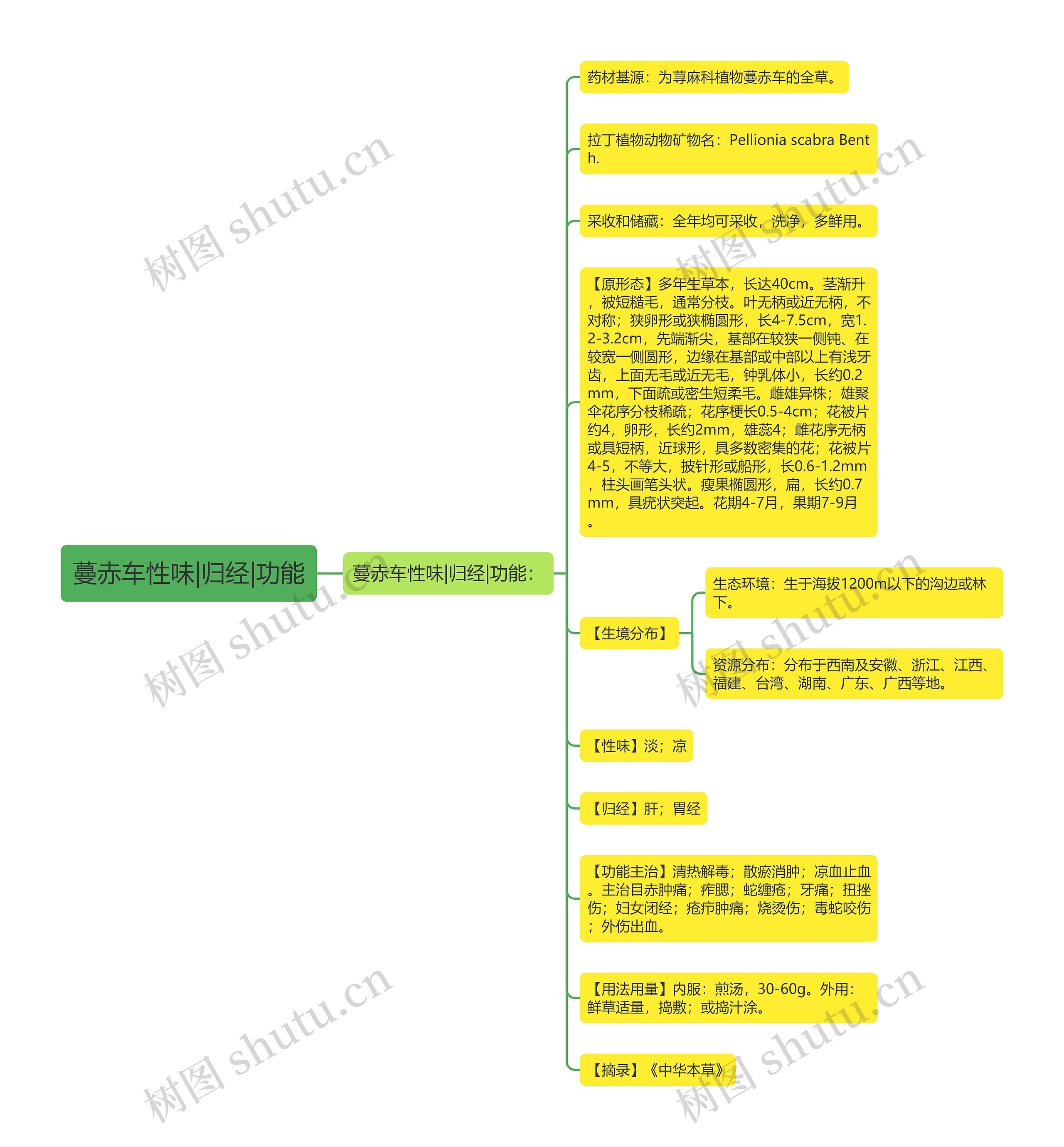 蔓赤车性味|归经|功能思维导图