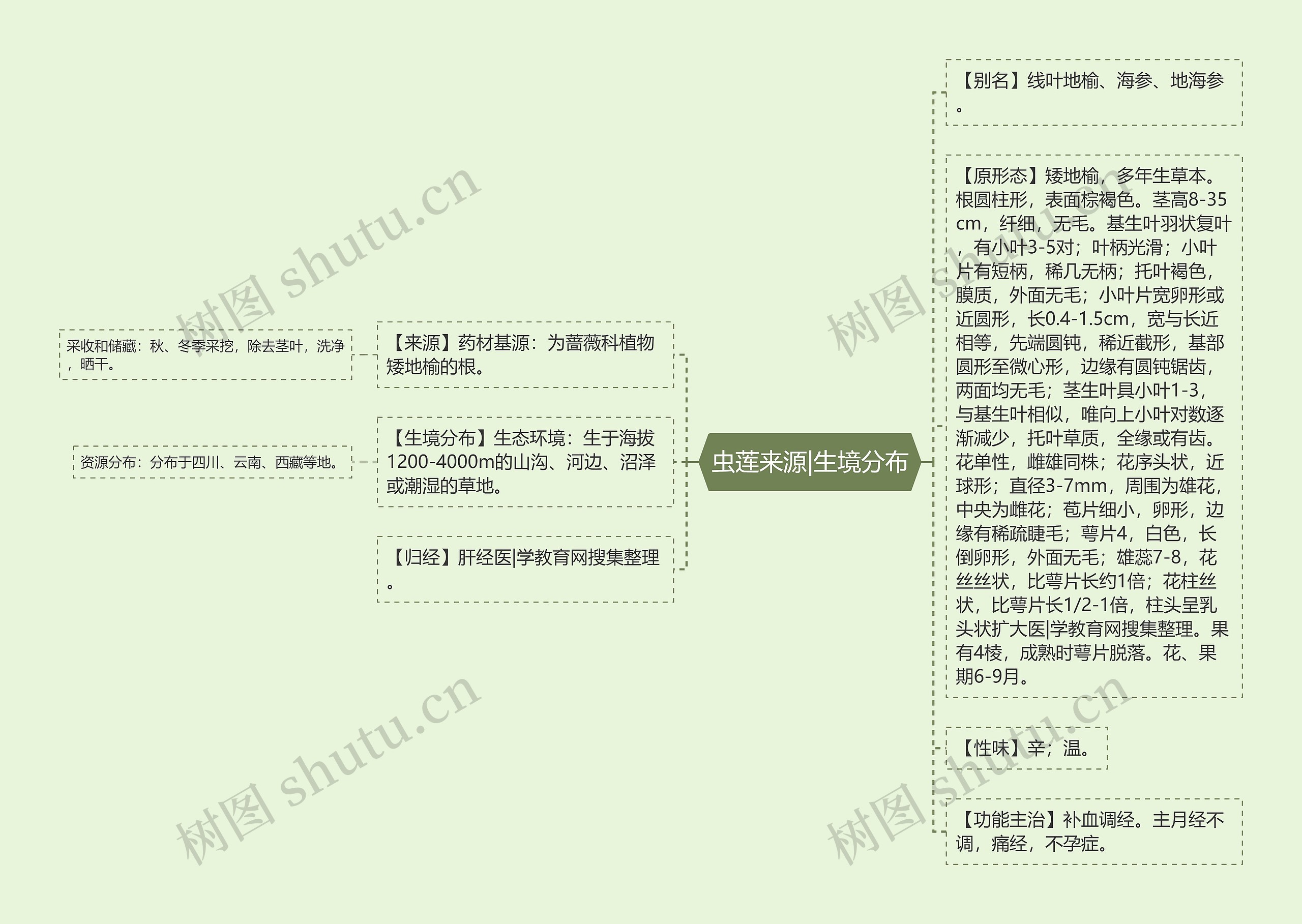 虫莲来源|生境分布思维导图