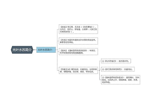 光叶水苏简介