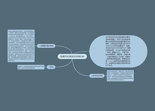 脑梗死的病因和发病机制
