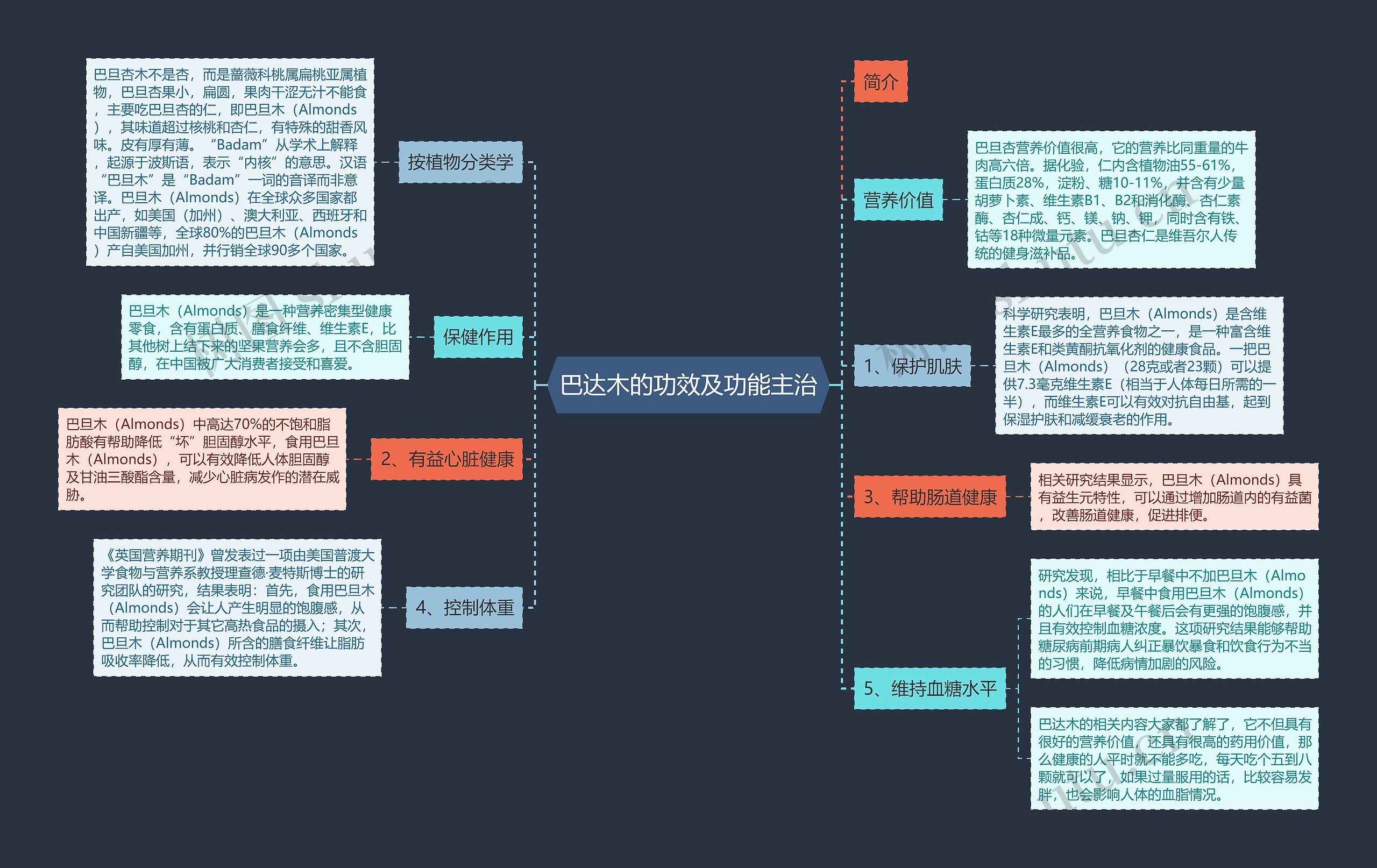 巴达木的功效及功能主治思维导图