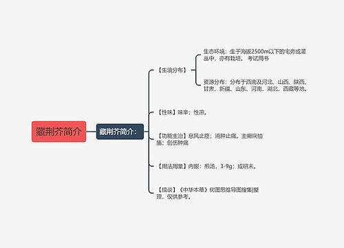 藏荆芥简介