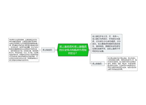 肾上腺皮质和肾上腺髓质的分泌特点和临床作用如何区分？