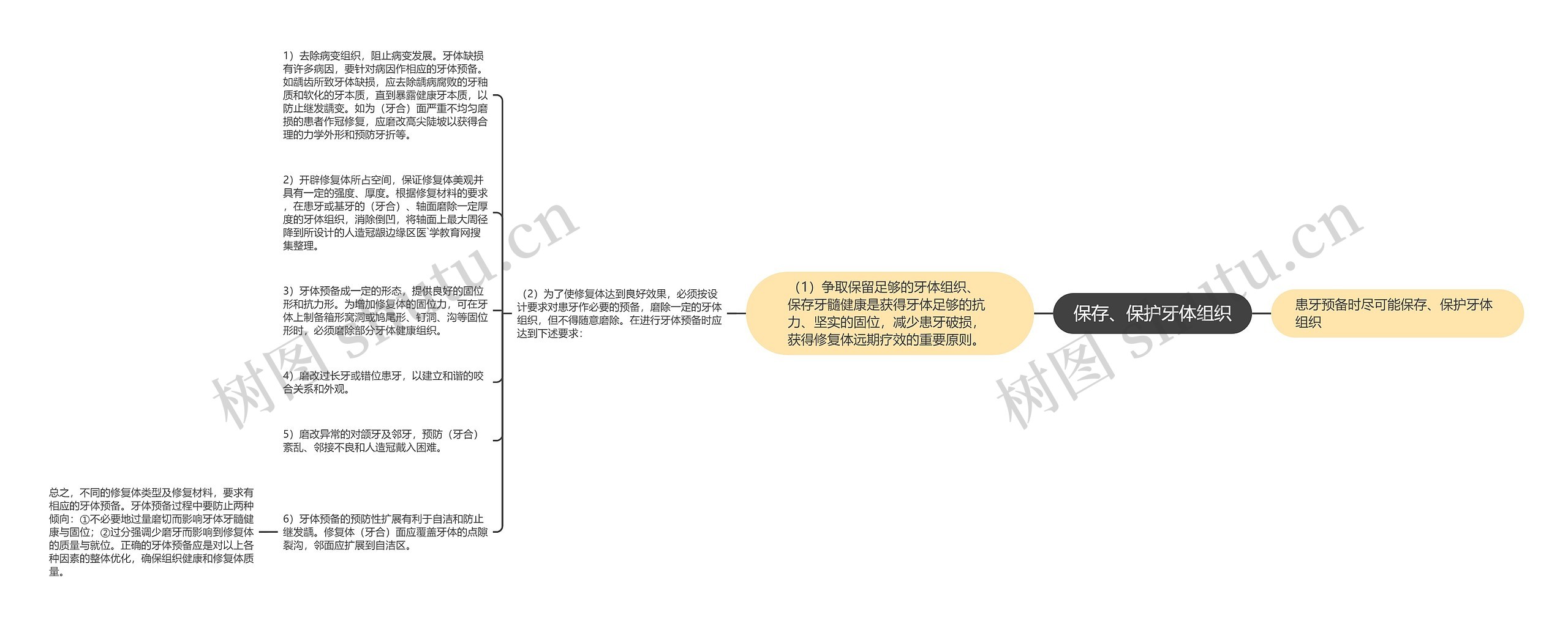 保存、保护牙体组织思维导图