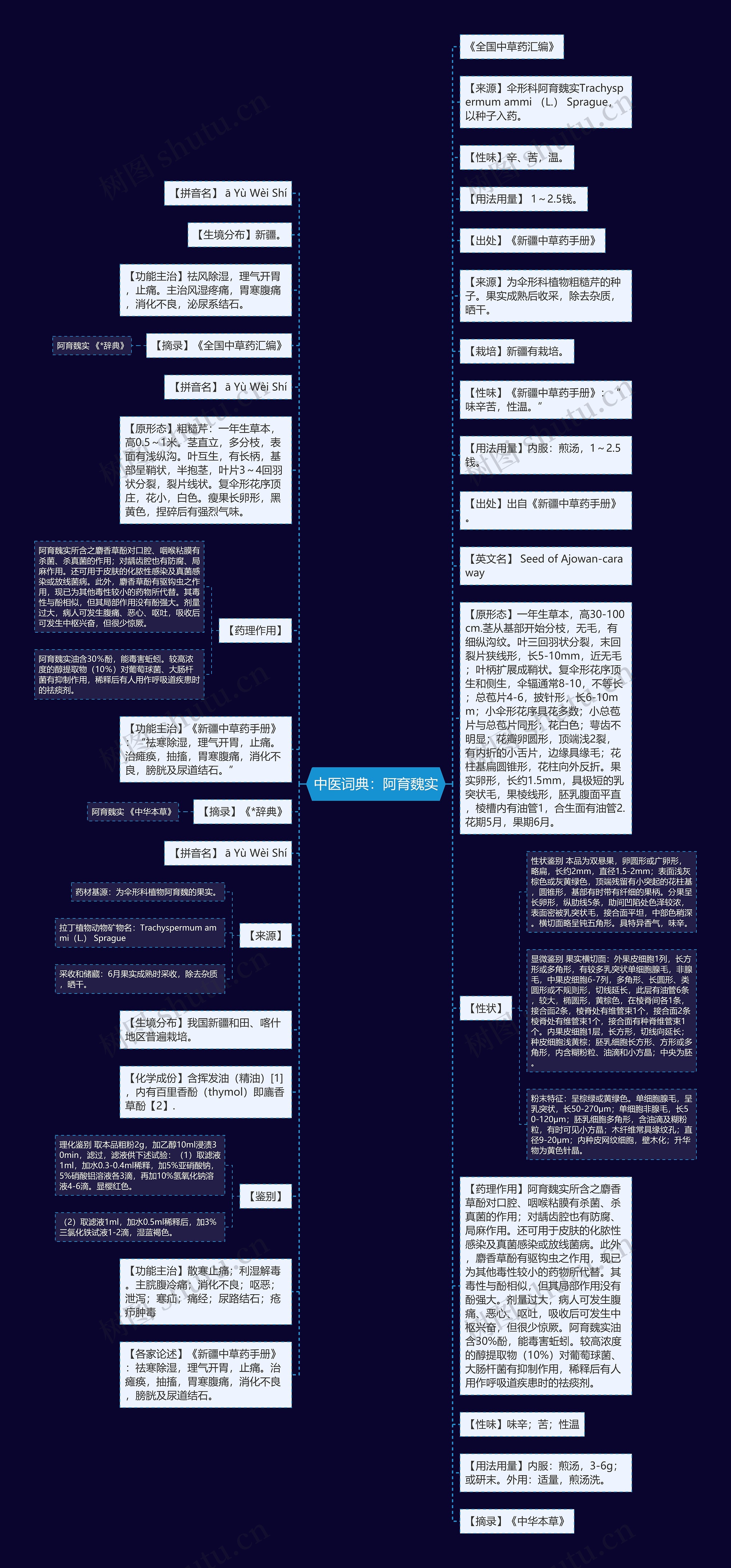 中医词典：阿育魏实思维导图