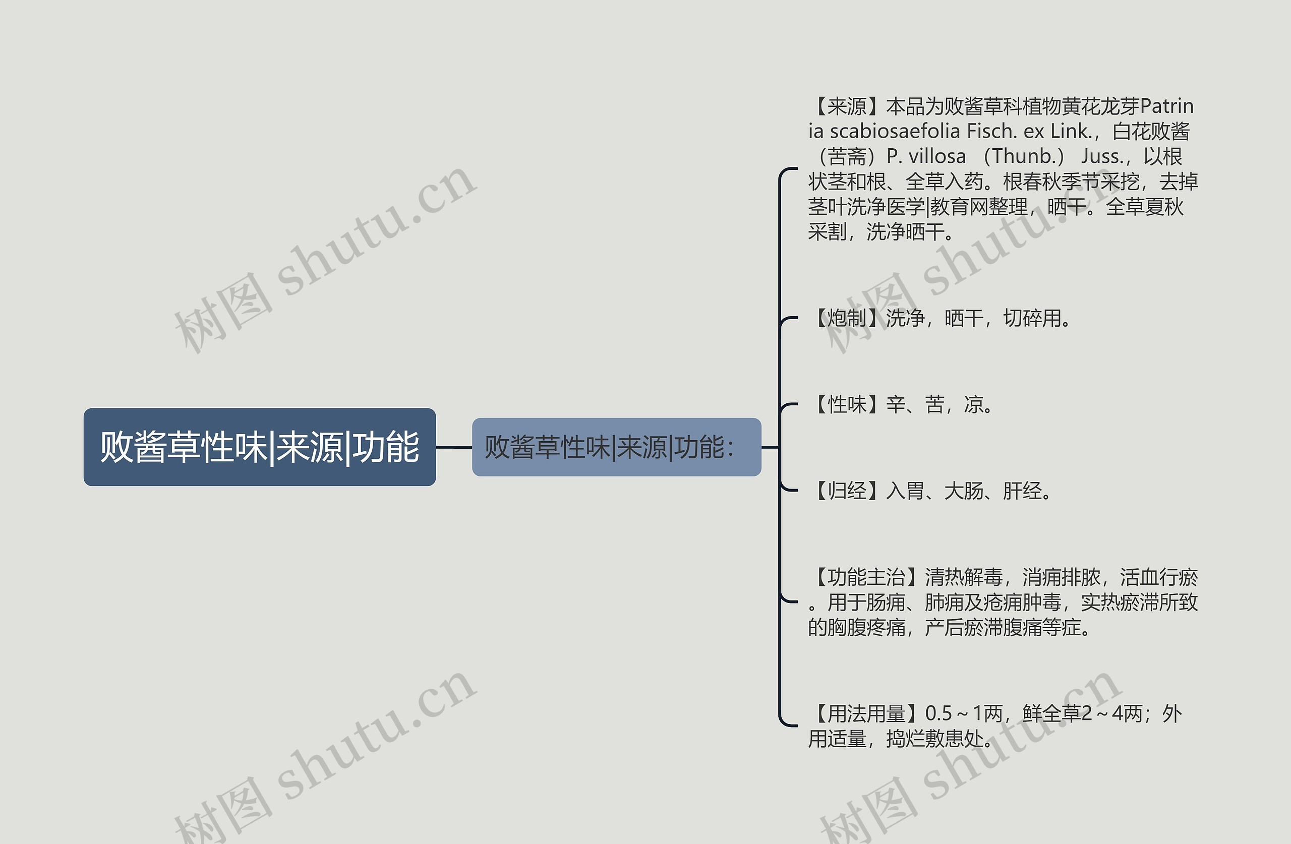 败酱草性味|来源|功能思维导图