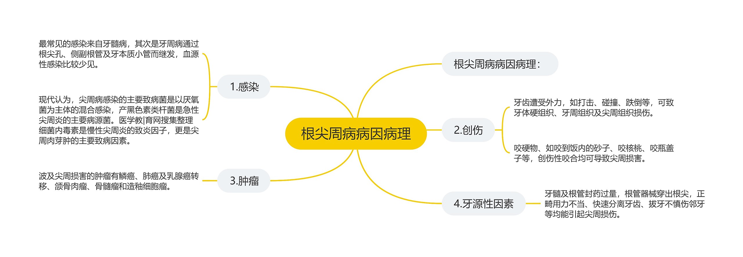 根尖周病病因病理思维导图