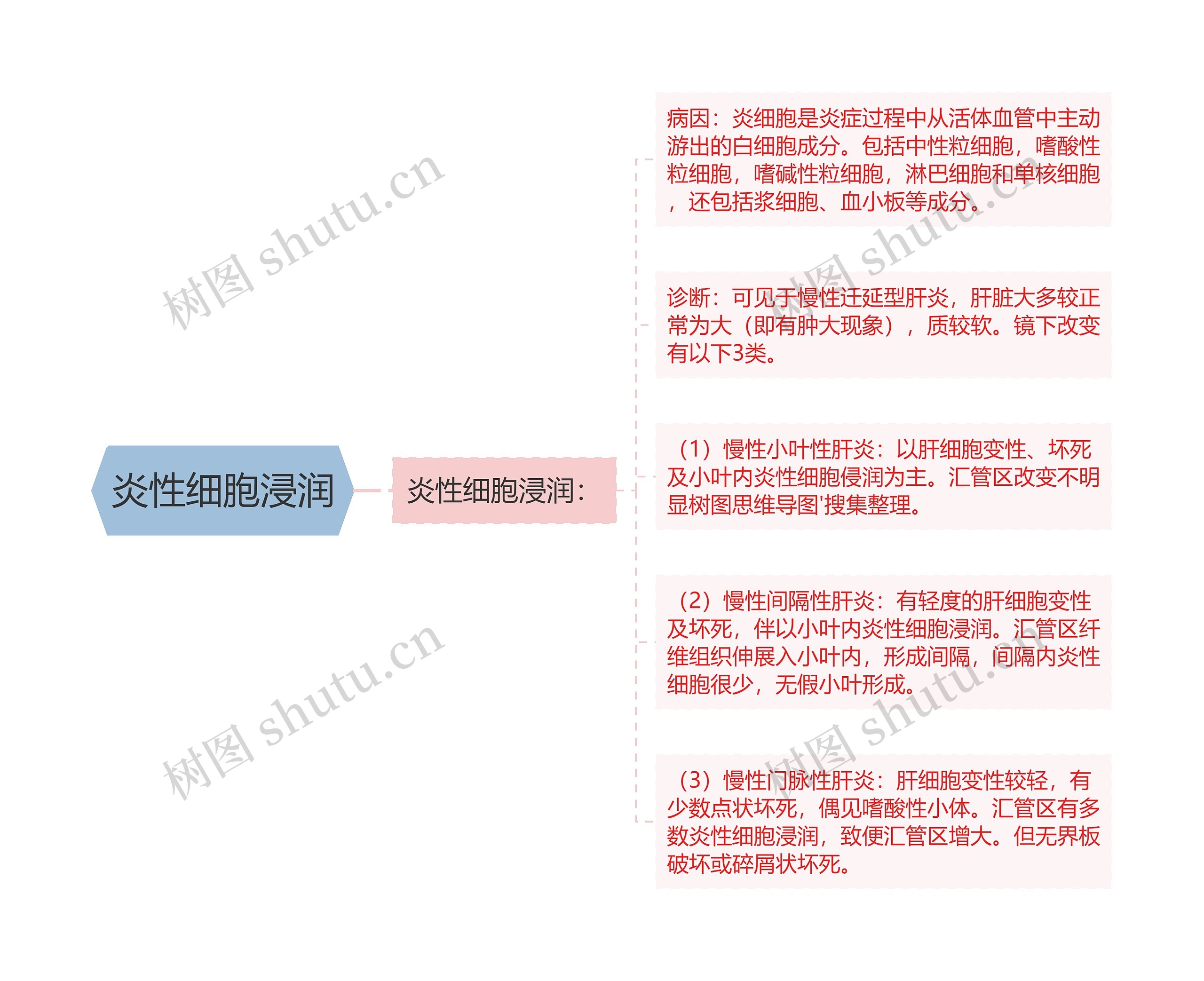 炎性细胞浸润思维导图高清图 炎性细胞浸润思维导图