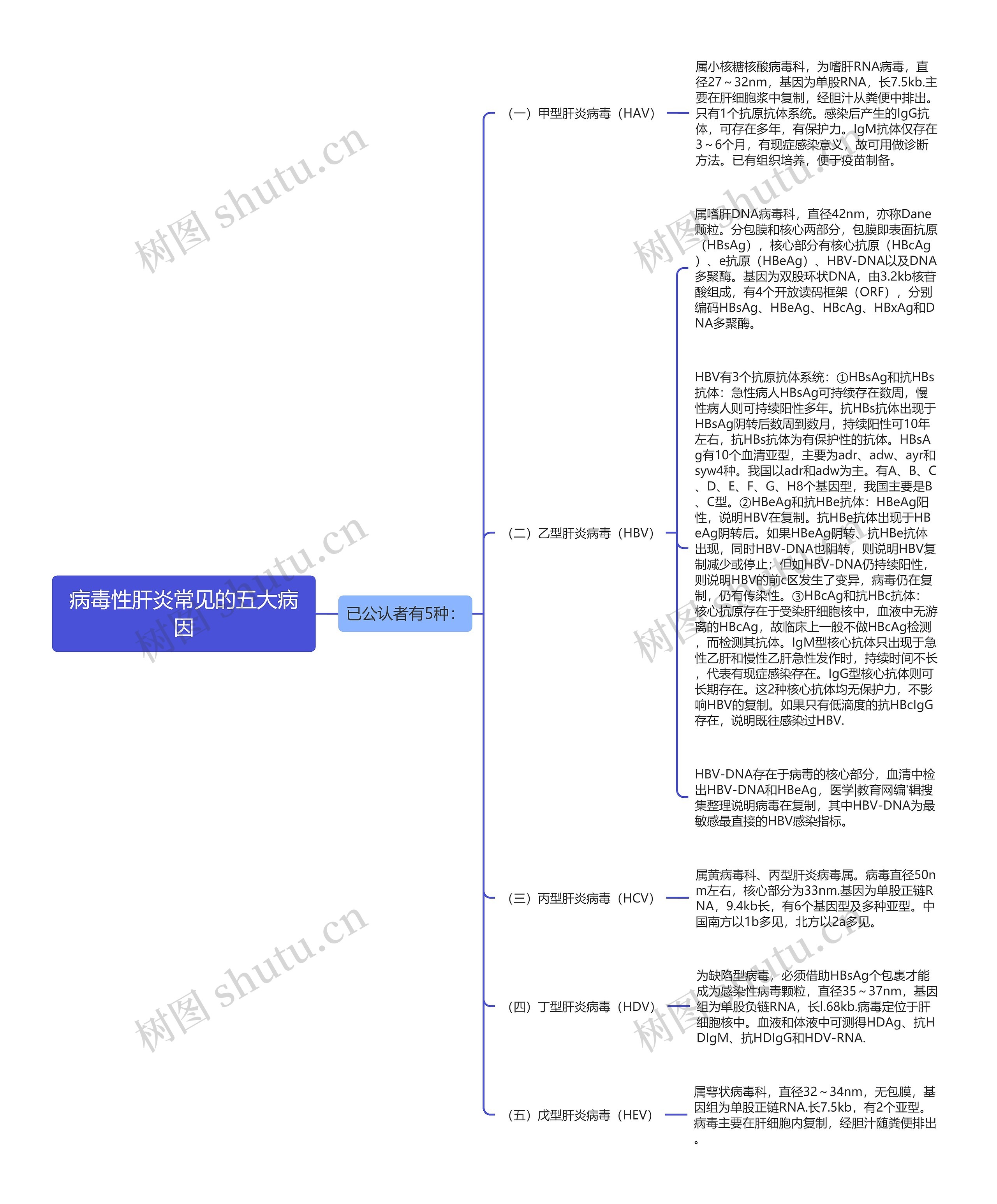 病毒性肝炎常见的五大病因思维导图