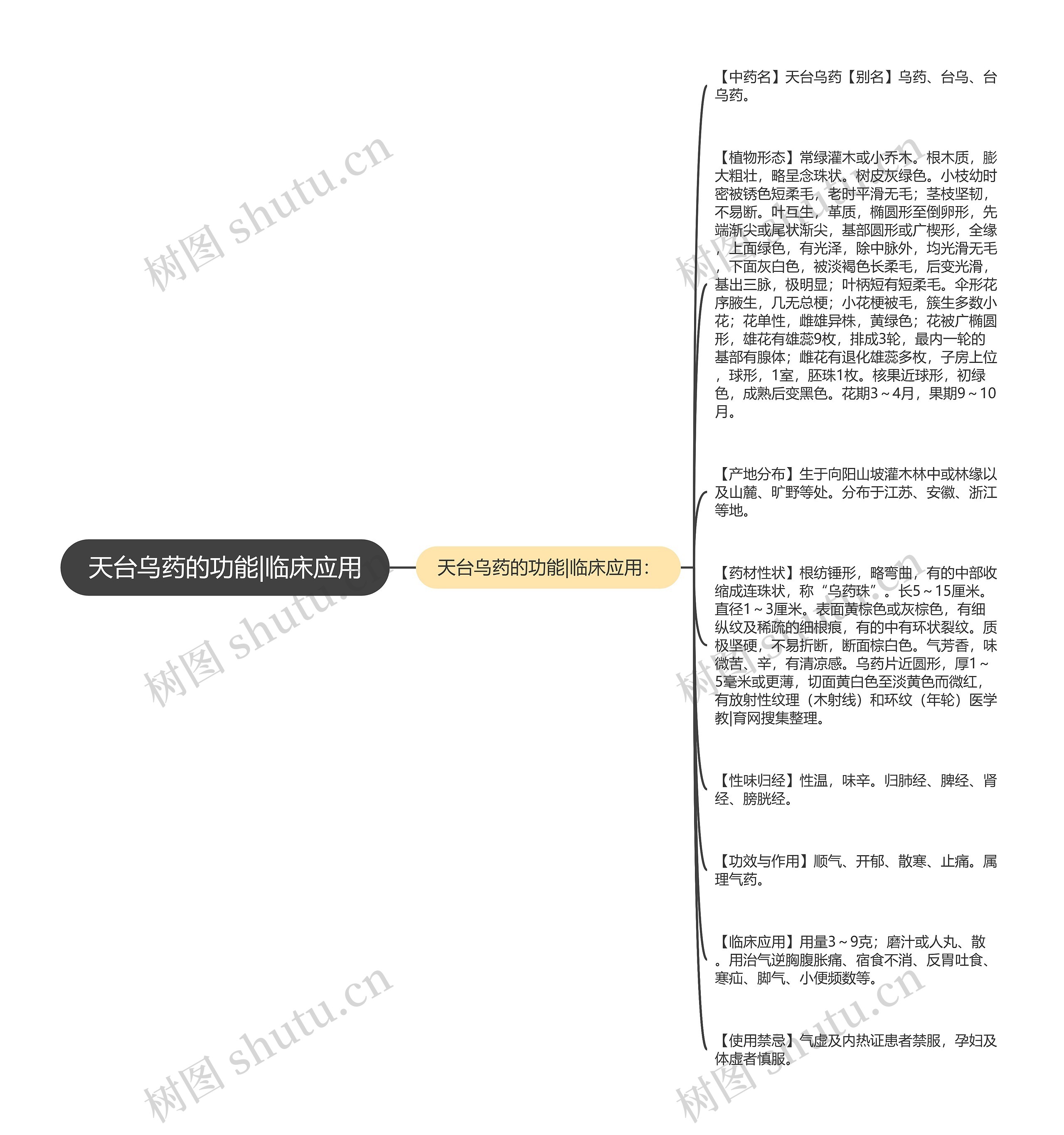 天台乌药的功能|临床应用思维导图