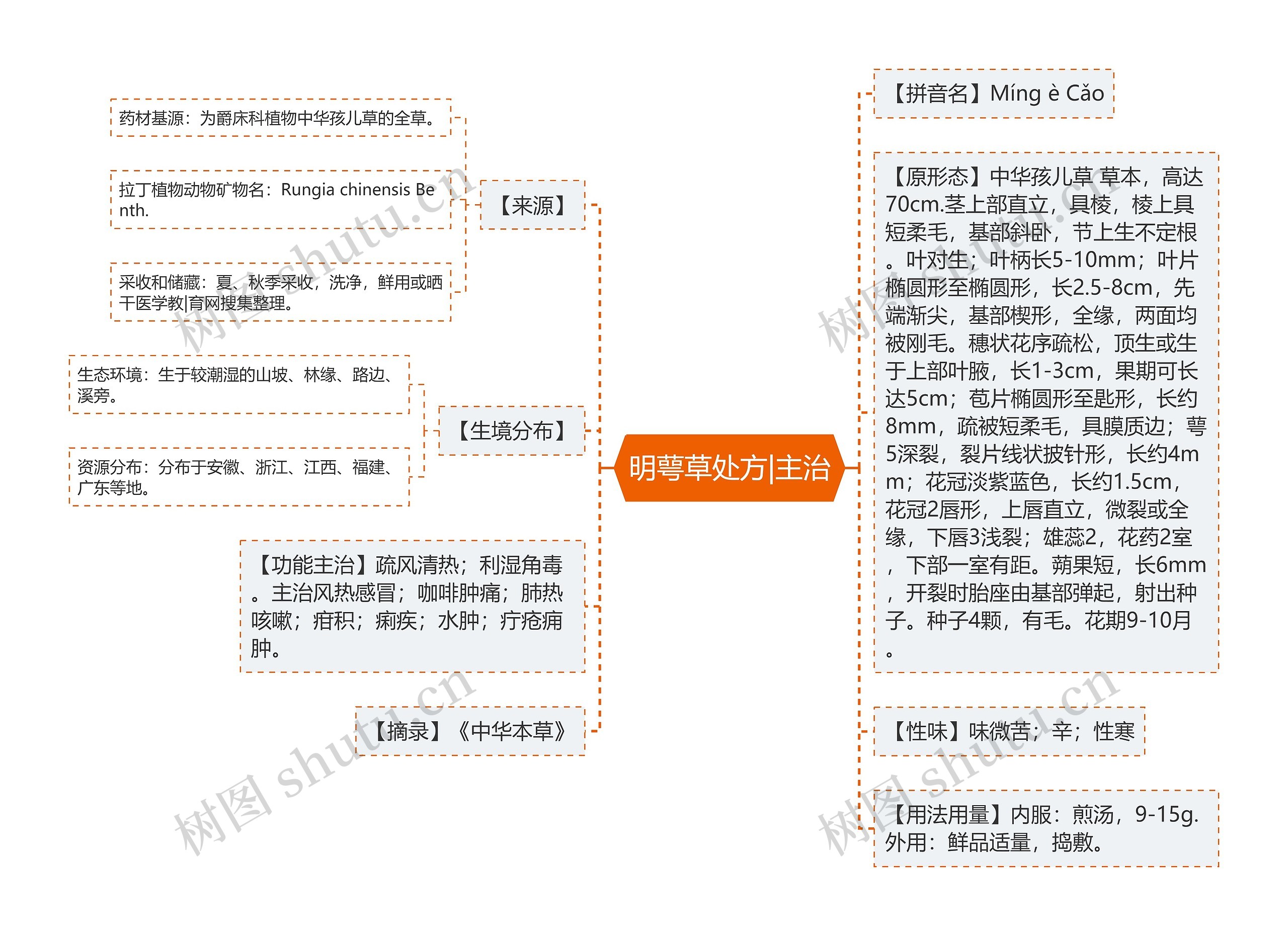 明萼草处方|主治思维导图