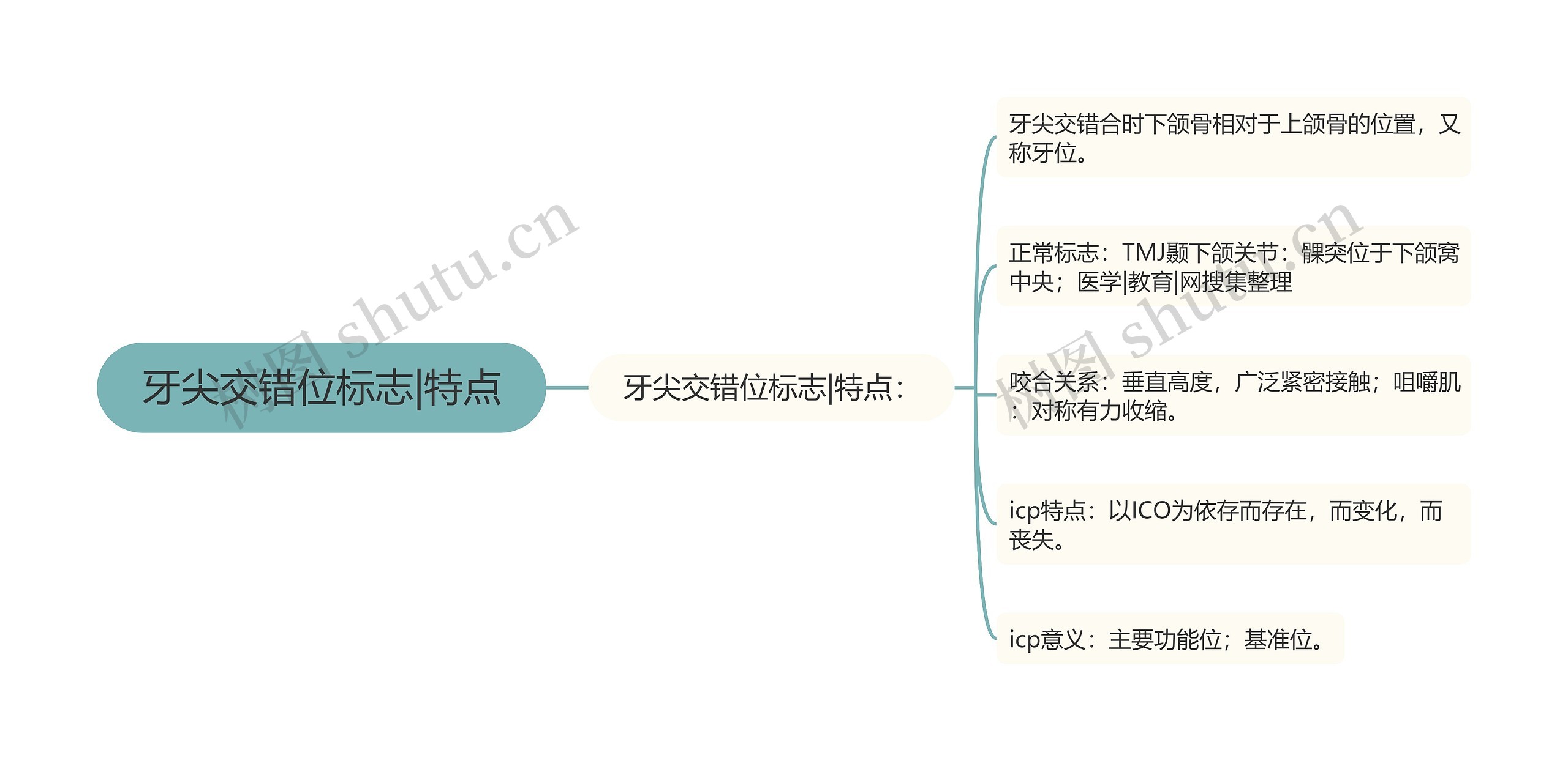 牙尖交错位标志|特点