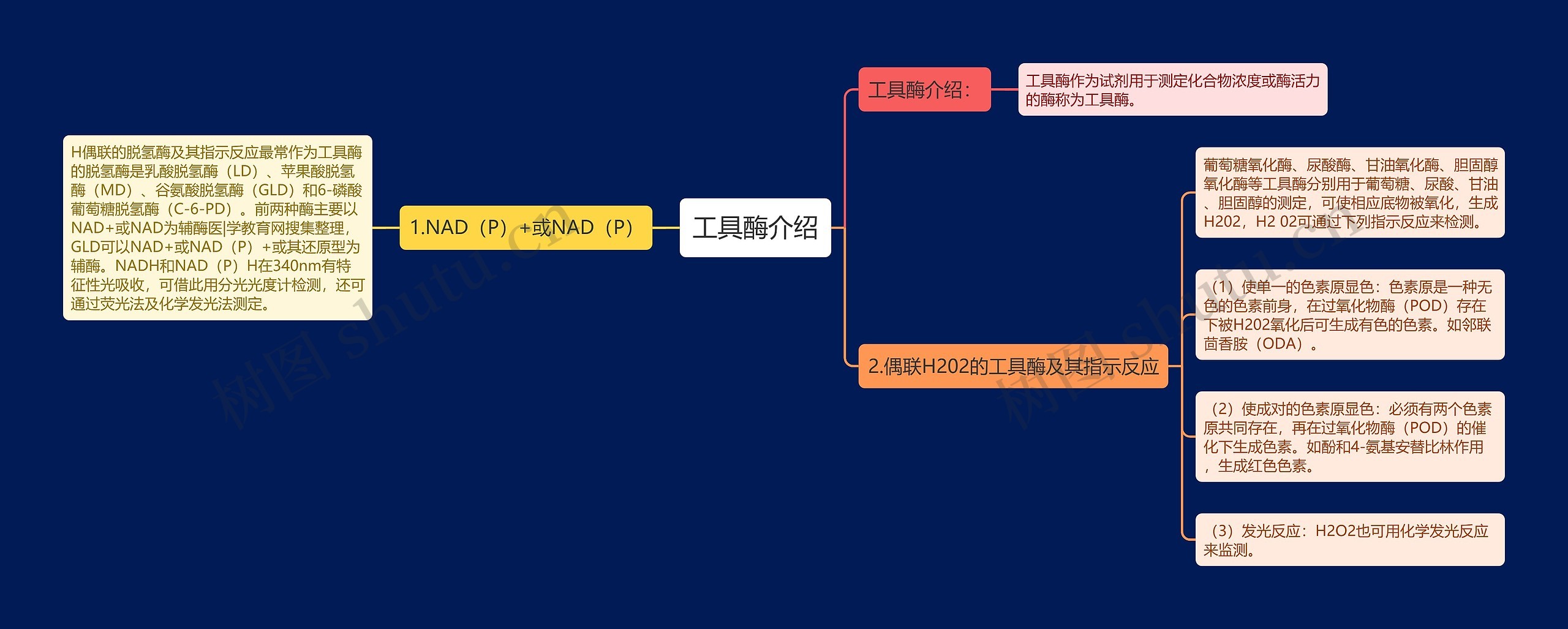 工具酶介绍