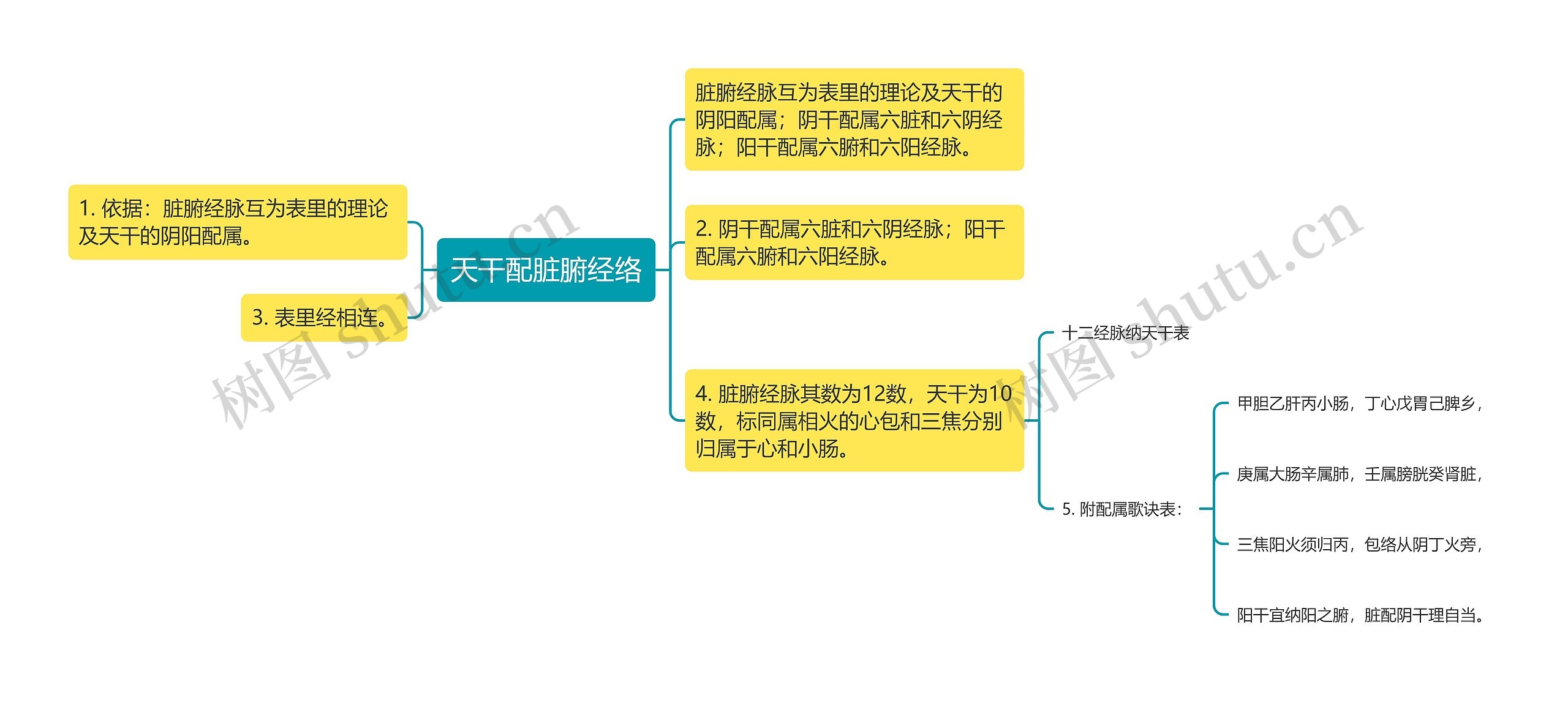 天干配脏腑经络思维导图