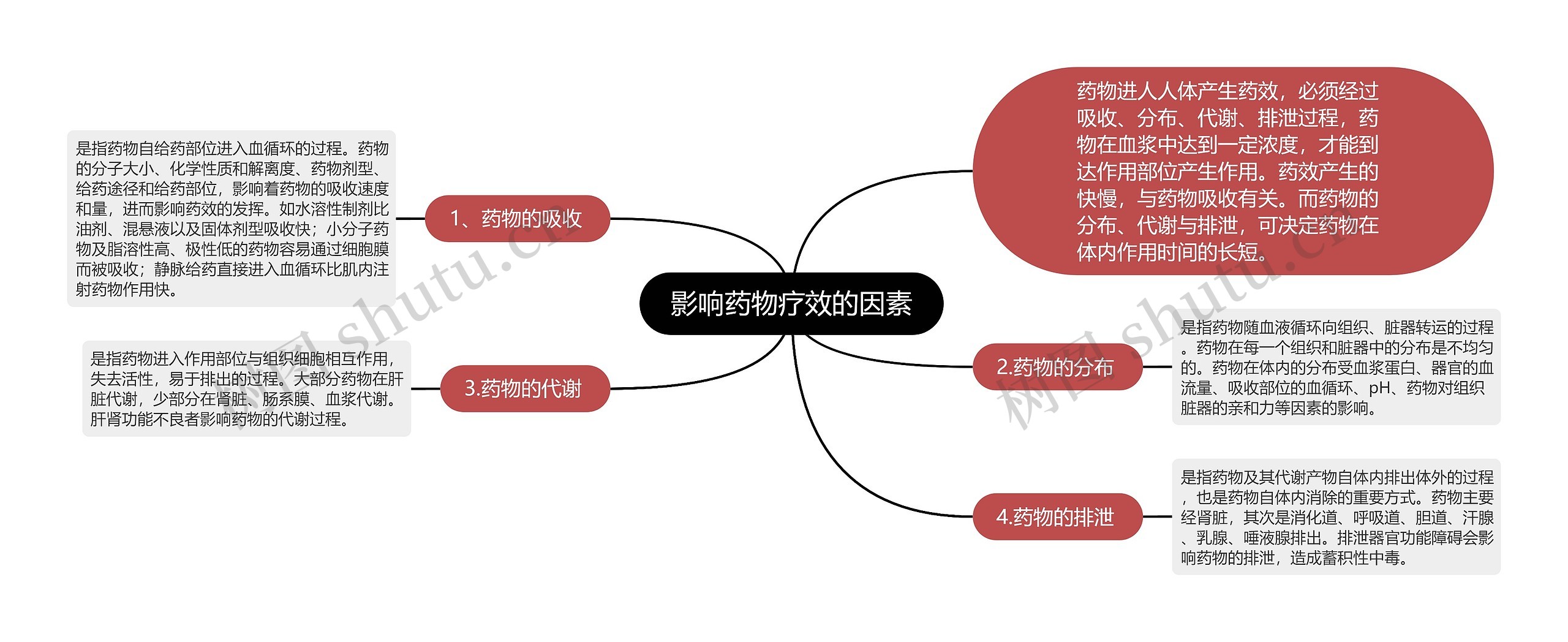 影响药物疗效的因素思维导图