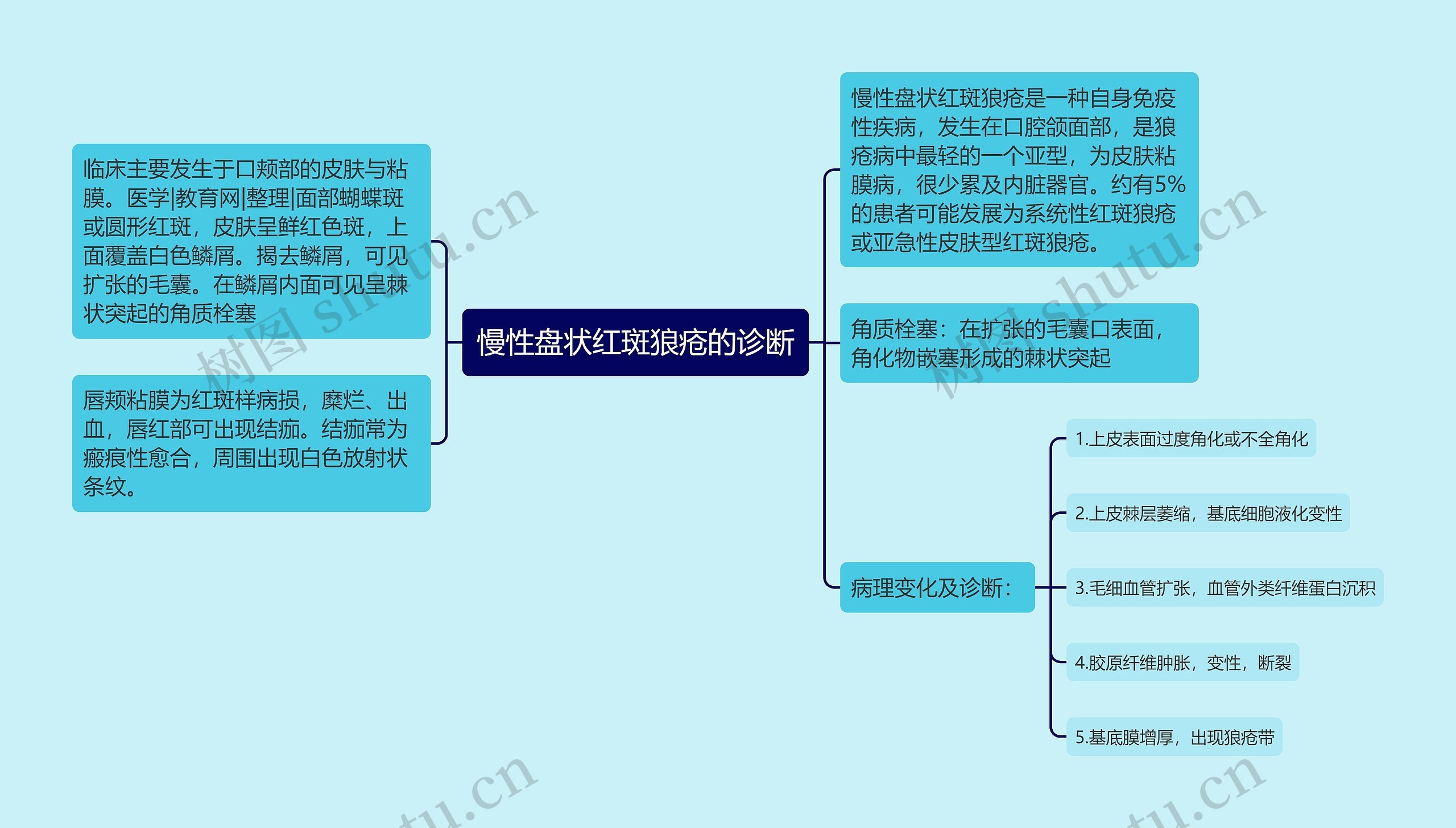 慢性盘状红斑狼疮的诊断思维导图