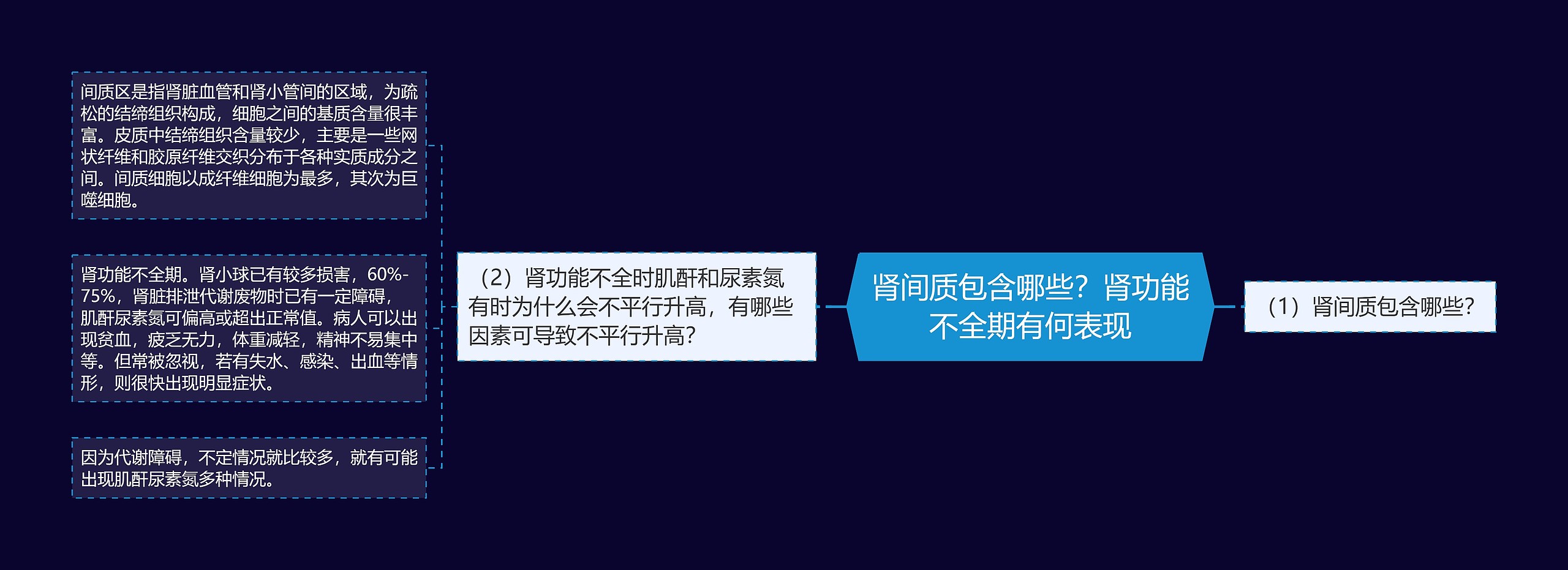 肾间质包含哪些？肾功能不全期有何表现思维导图